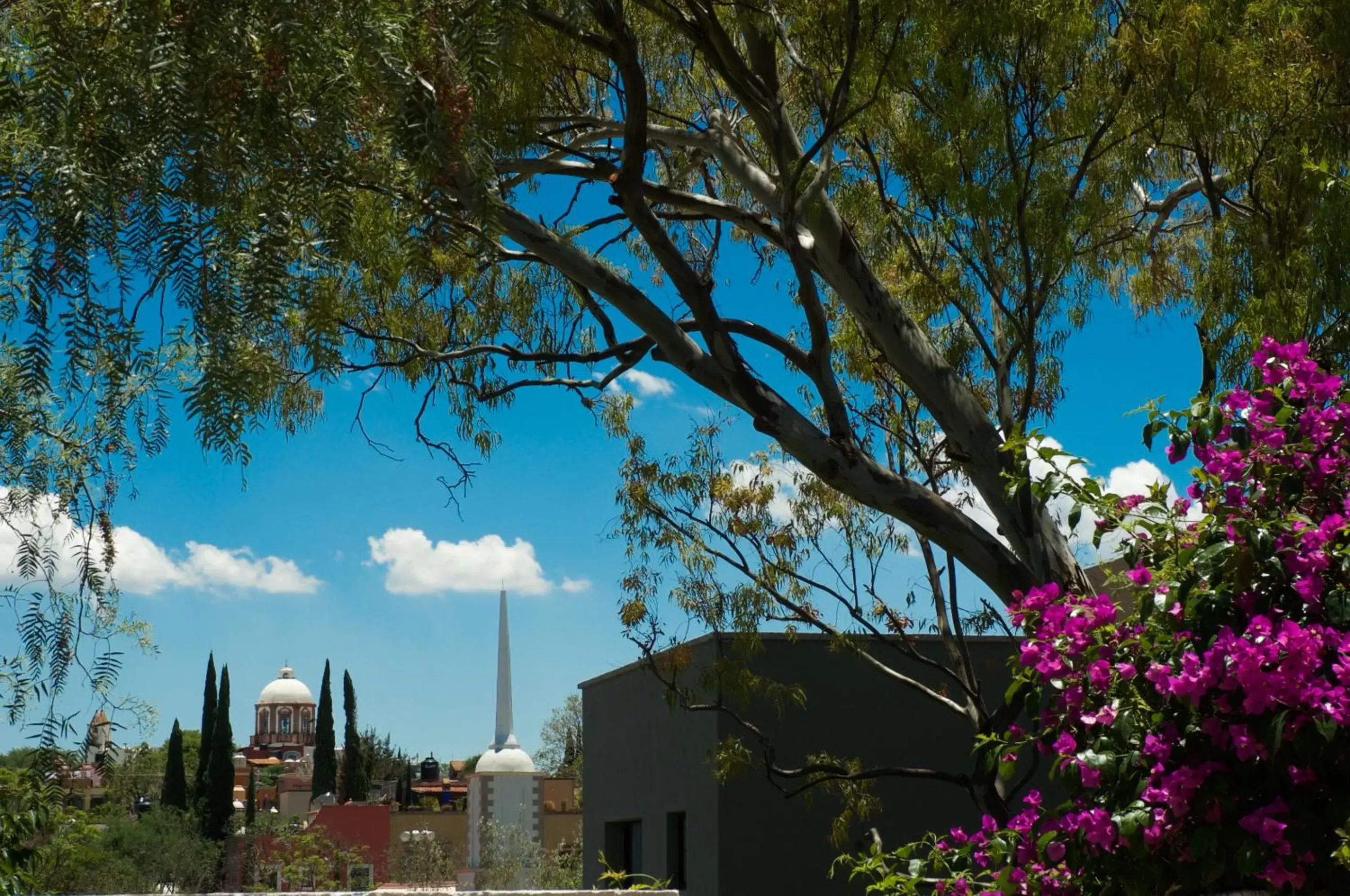 Garden view in Casa Mision de San Miguel