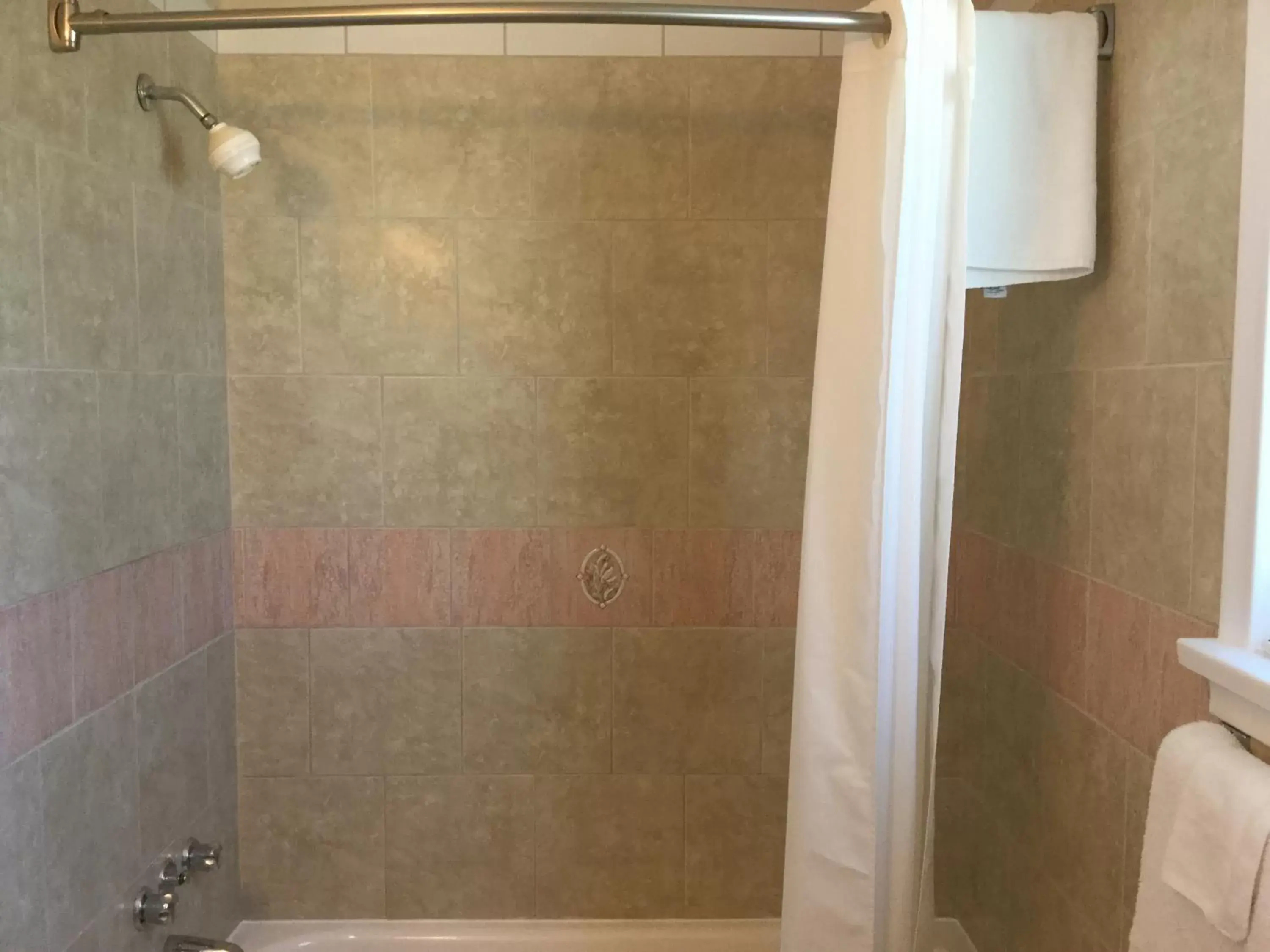 Shower, Bathroom in A1 Inn