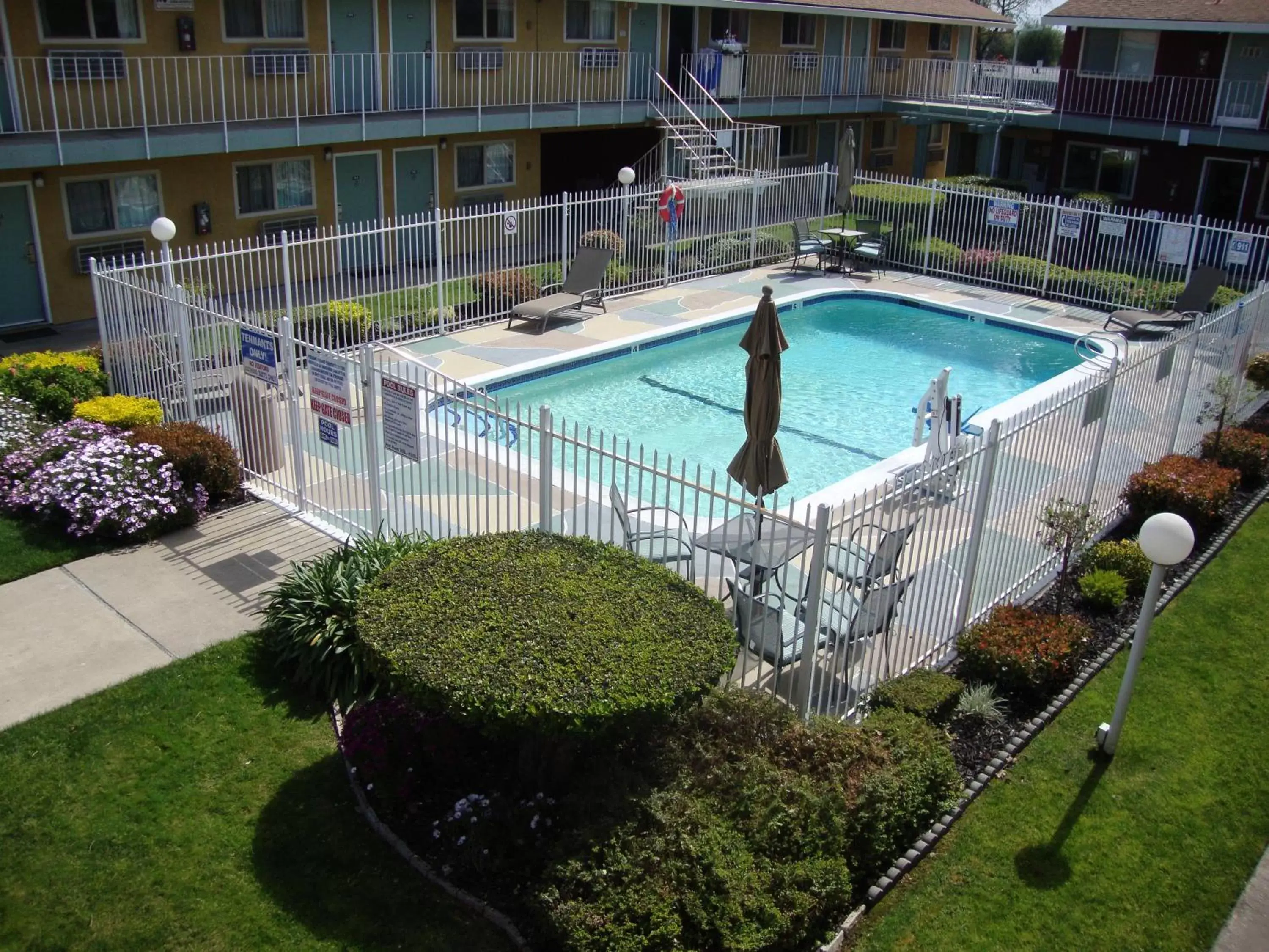 Swimming pool, Pool View in Oasis Inn Sacramento- Elk Grove