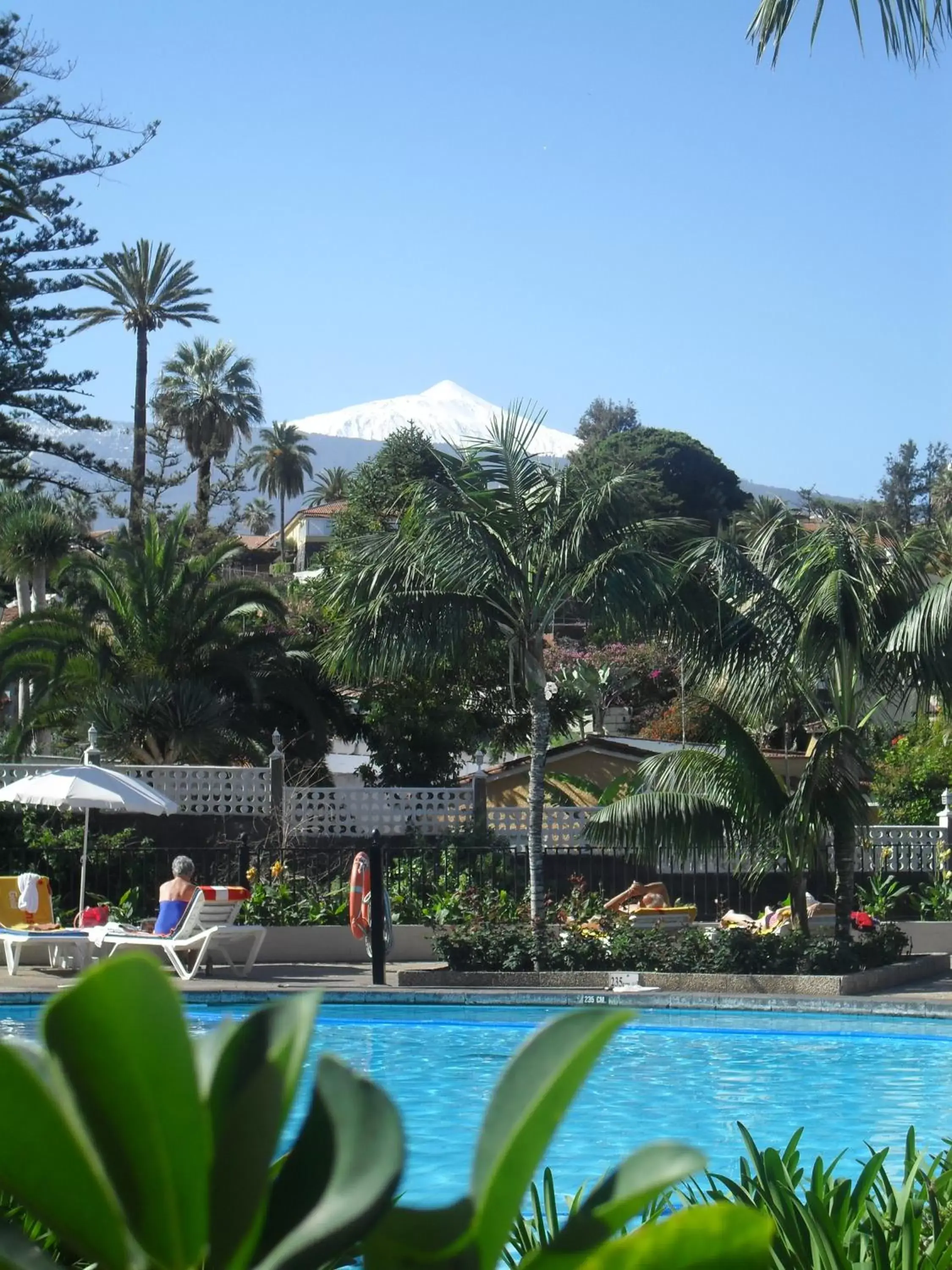 Garden, Swimming Pool in Hotel Atlantic El Tope