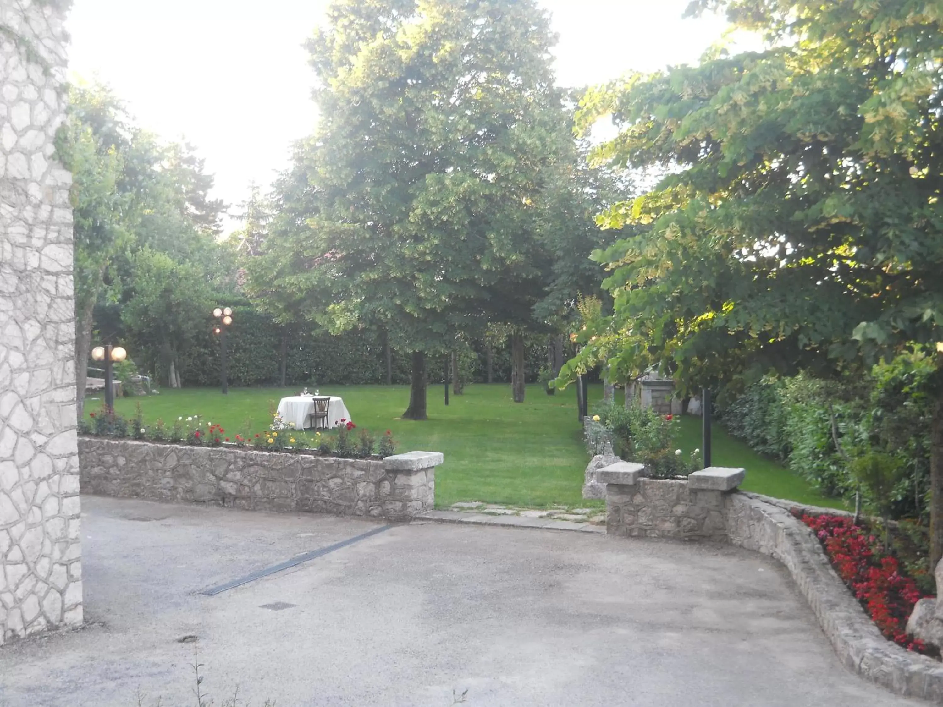 Garden in Hotel Colucci