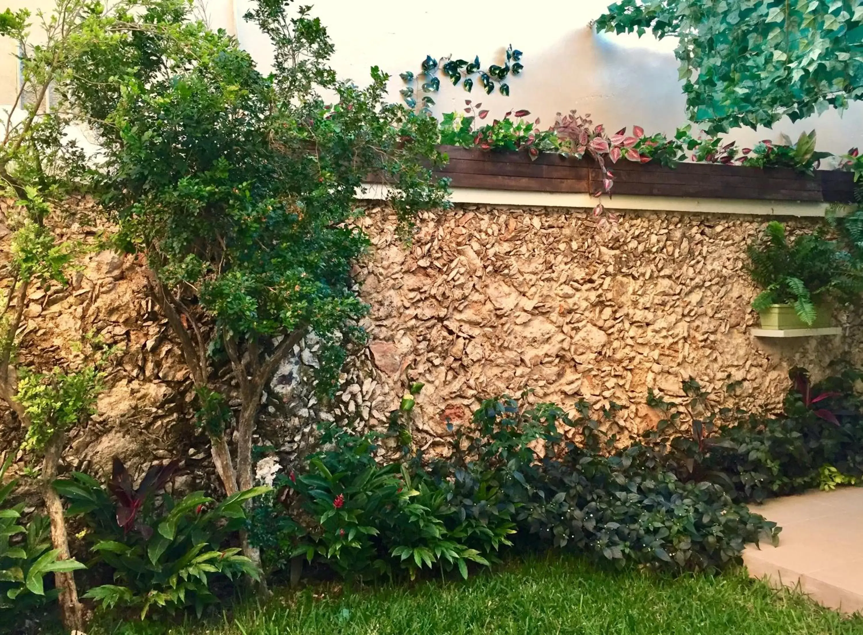 Garden in Hotel Zar Merida