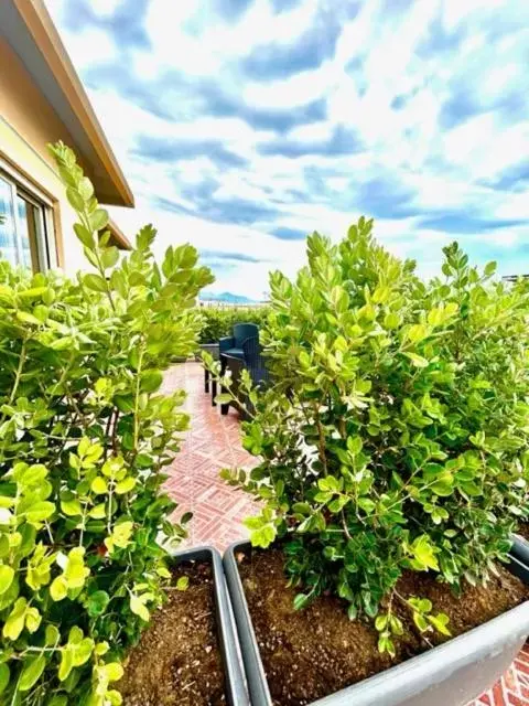 Balcony/Terrace in Aqua B&B - Rooms and Apartments