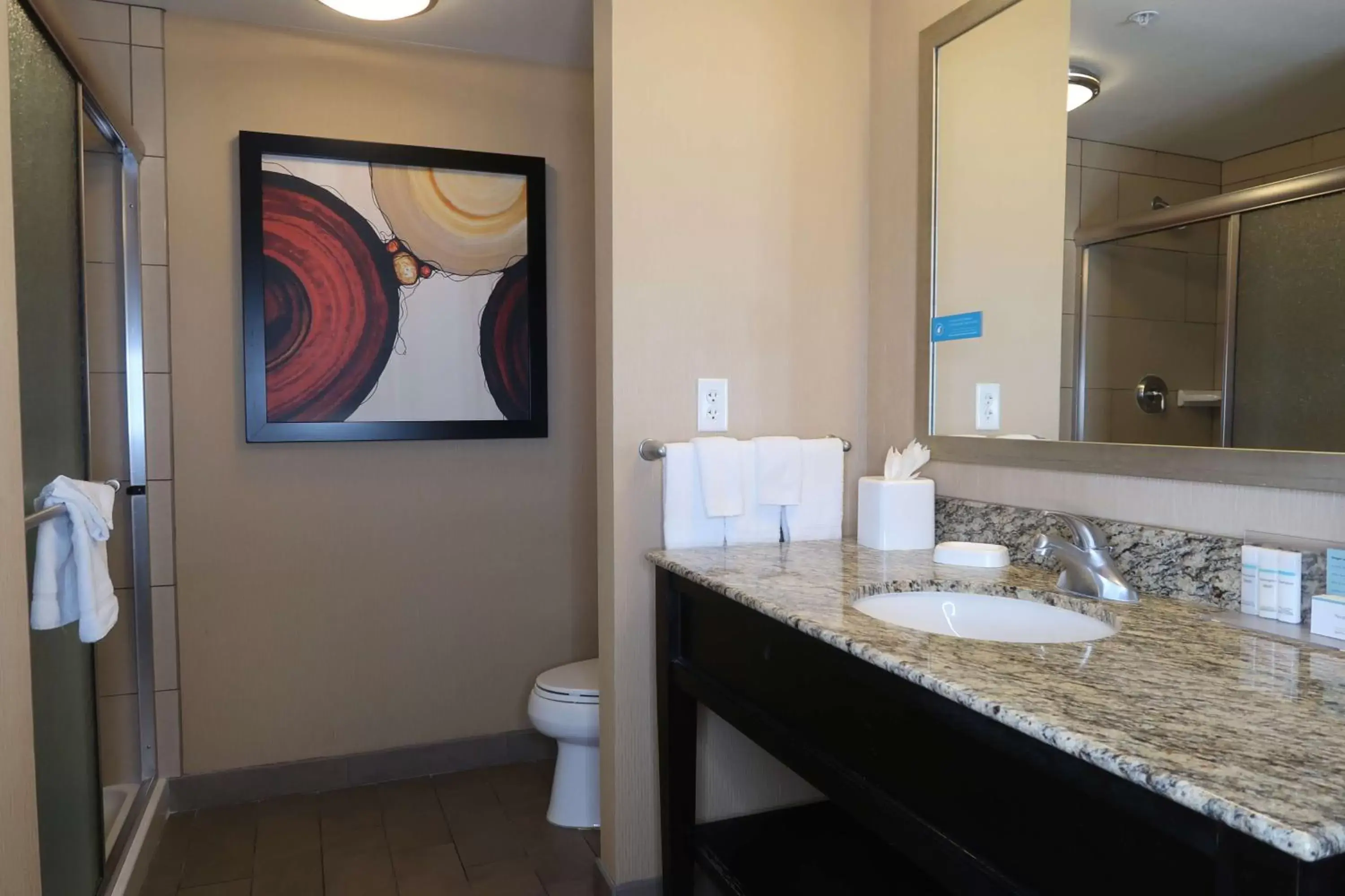 Bathroom in Hampton Inn & Suites Salinas