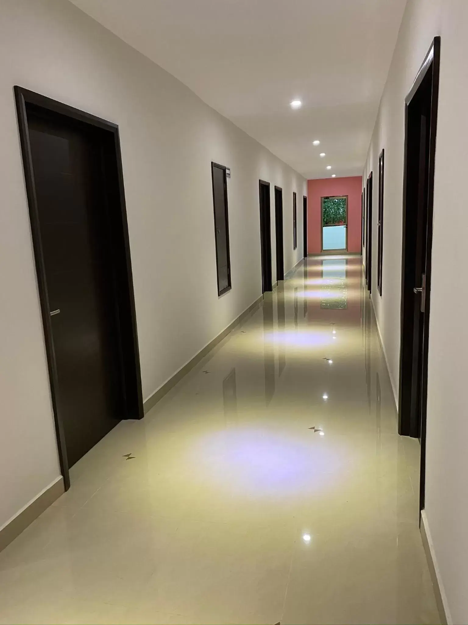 Area and facilities in Hotel Ambra
