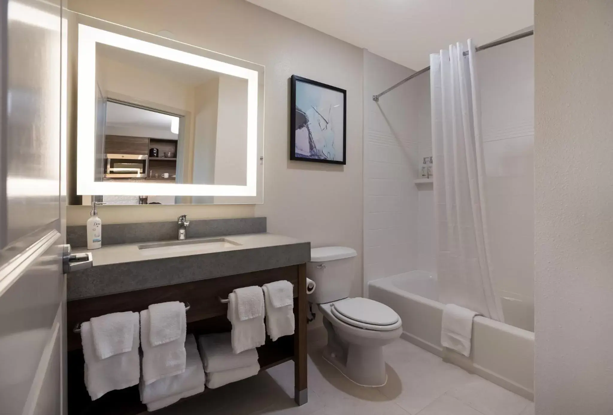 Bathroom in Candlewood Suites Lafayette, an IHG Hotel