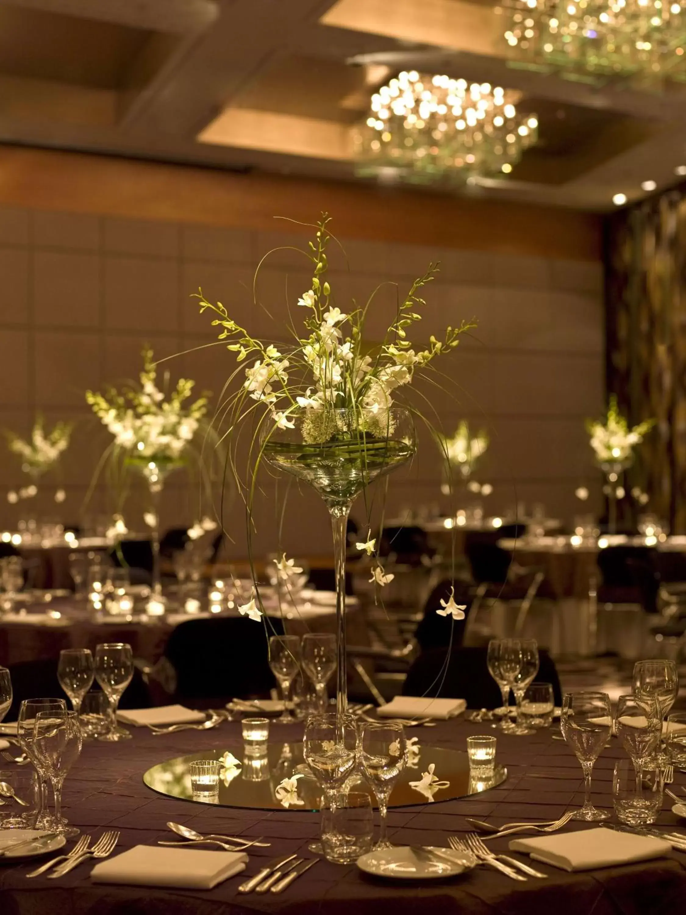 Banquet/Function facilities, Restaurant/Places to Eat in Hyatt Regency Mainz