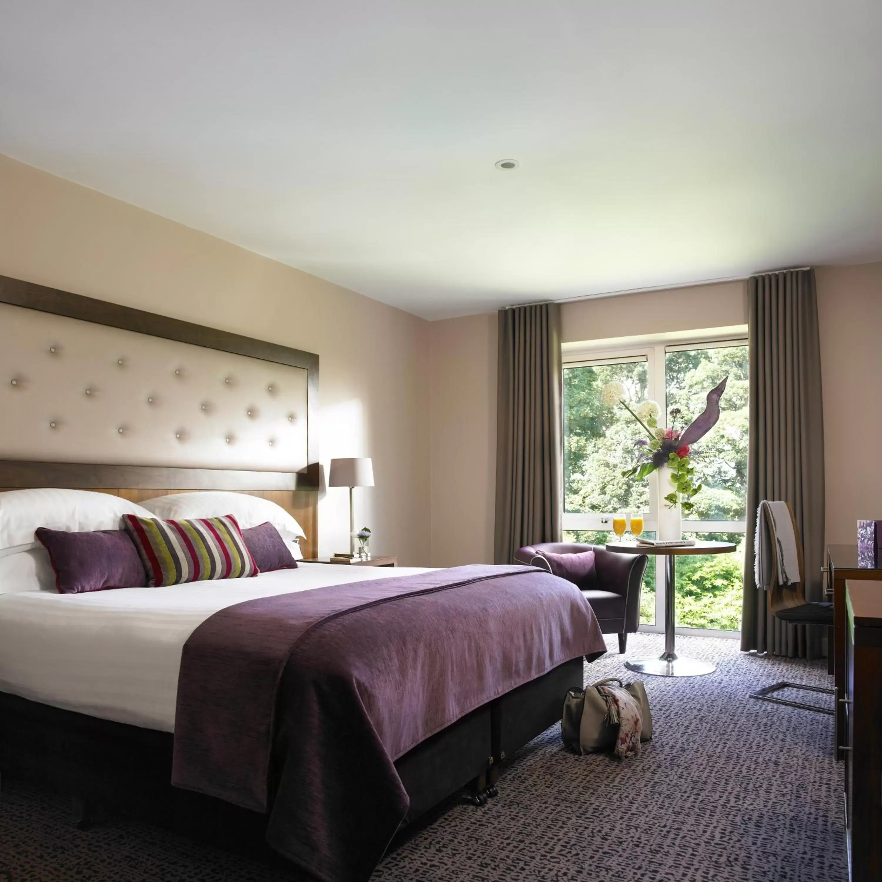 Day, Bed in Dunboyne Castle Hotel & Spa