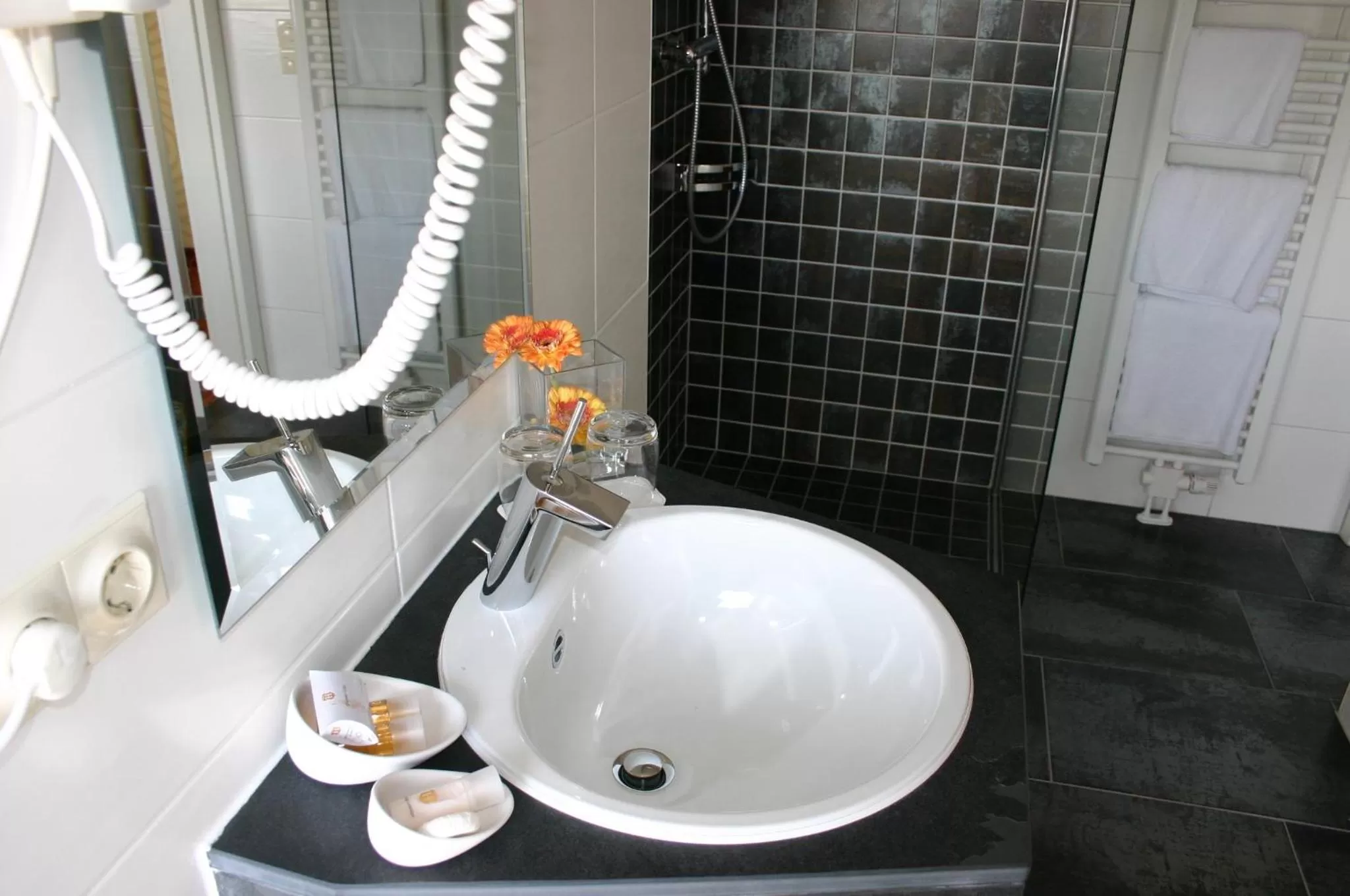 Toilet in Elbe Resort Alte Ölmühle