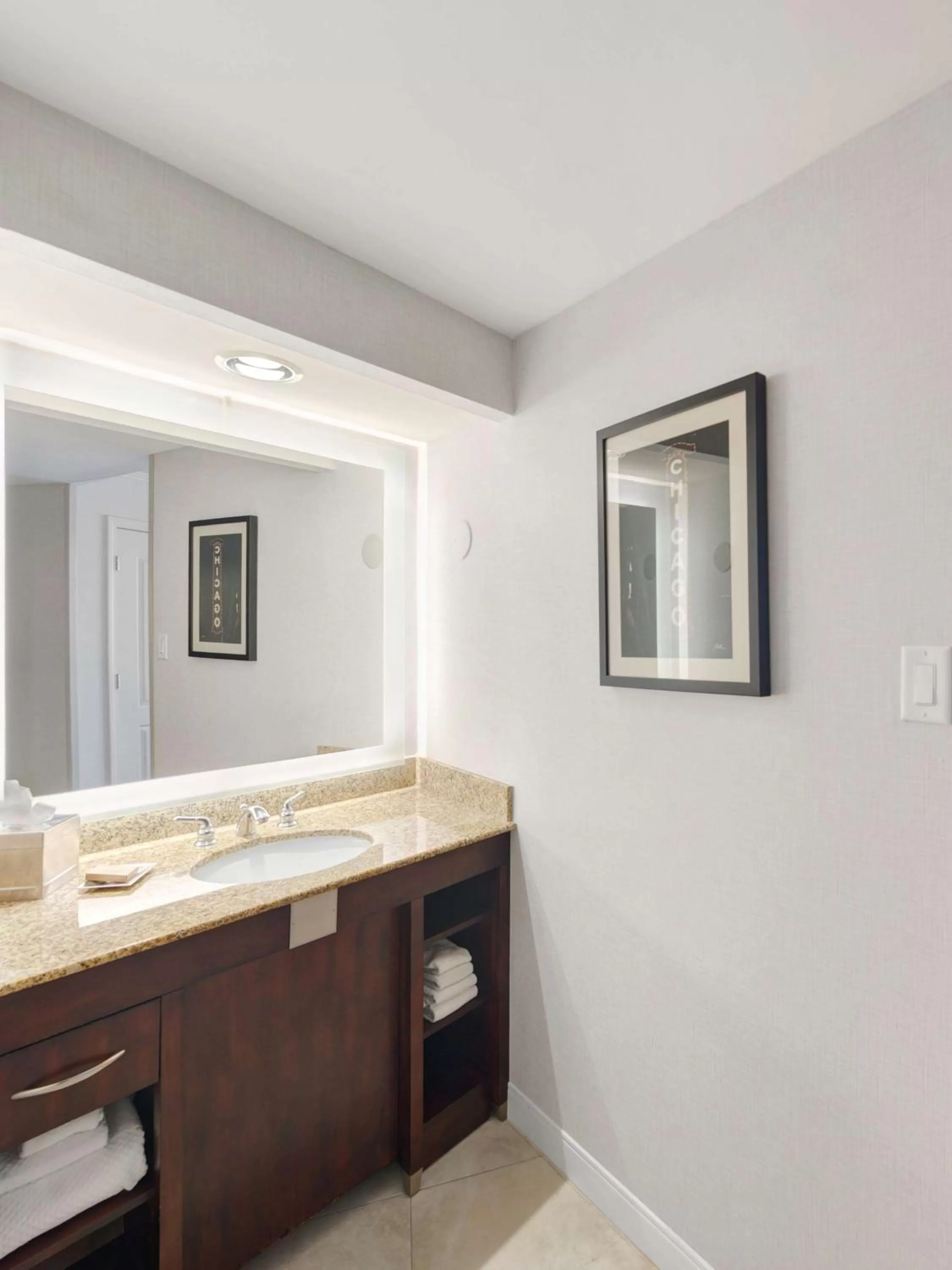 Bathroom in Hilton Chicago/Oak Lawn
