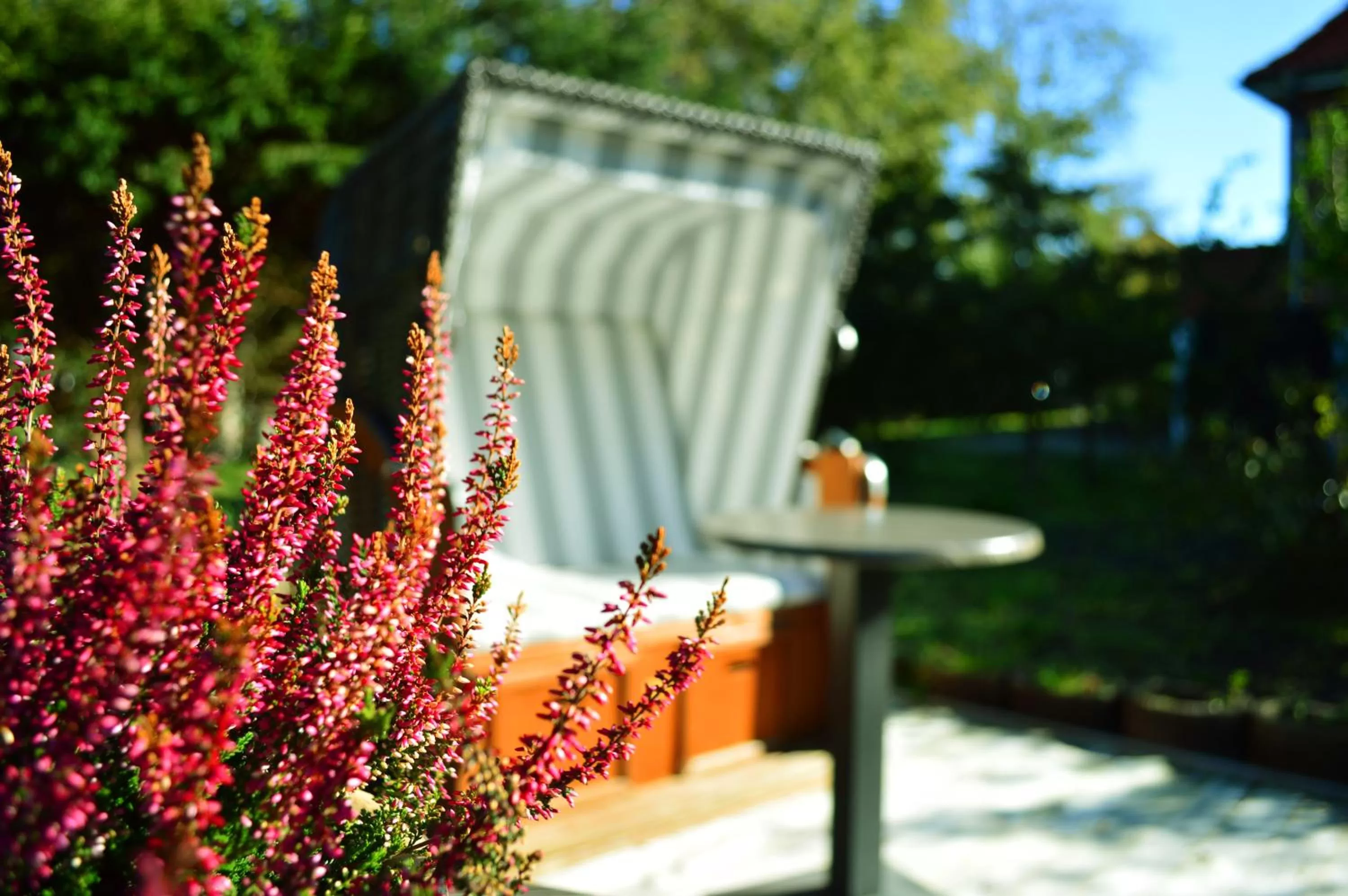 Garden in Hotel kleine Auszeit - Adults Only