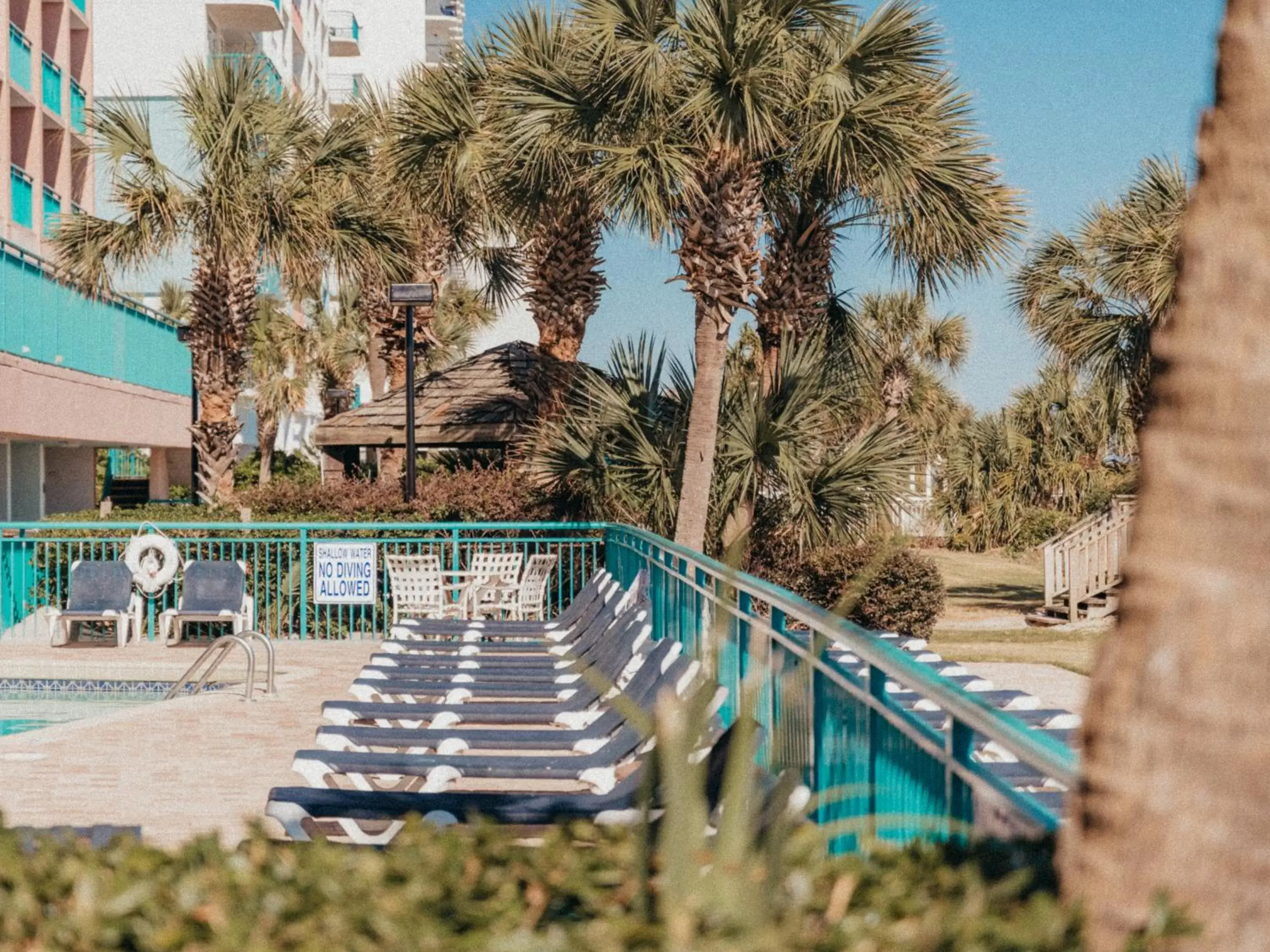 sunbed in Sandcastle Oceanfront Resort South Beach