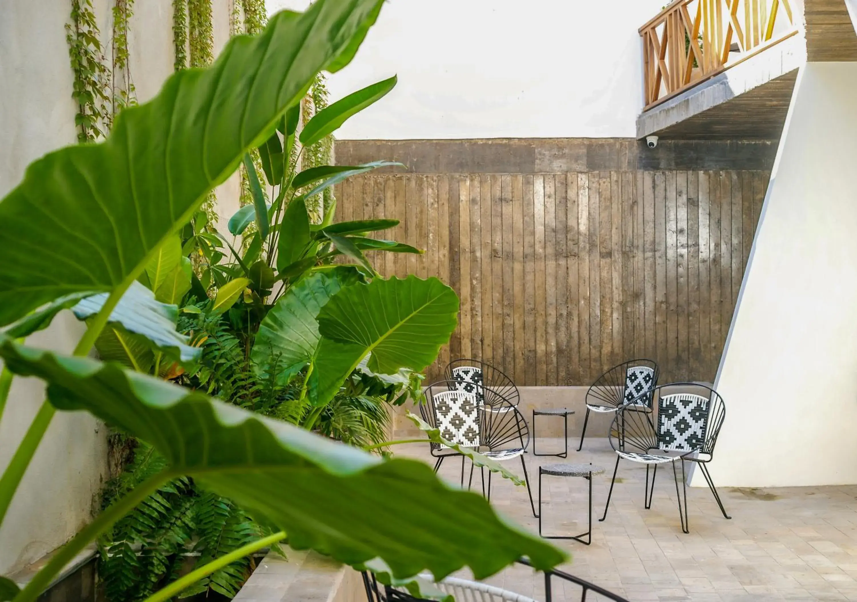 Patio in Ximena Hotel Boutique