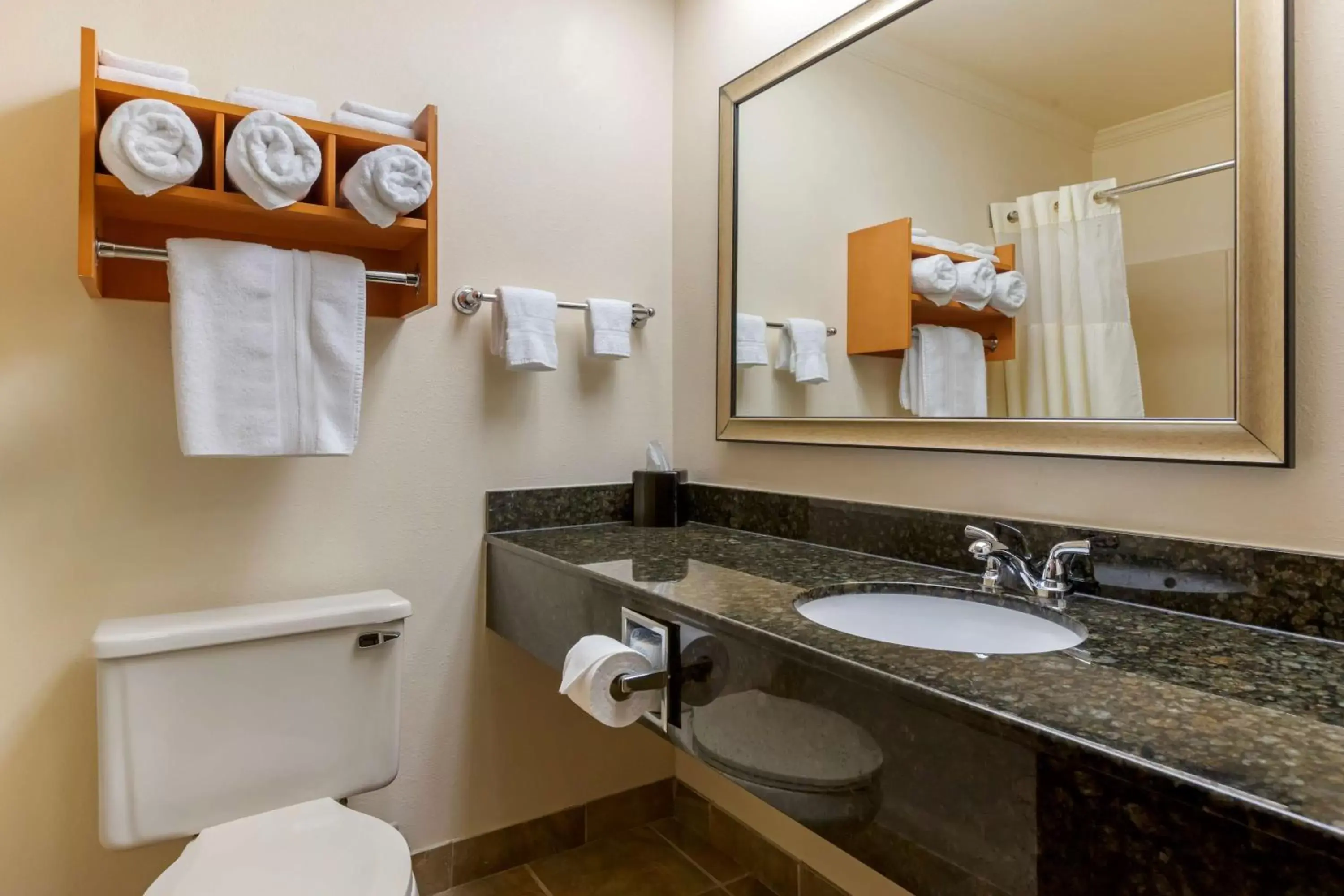 Bathroom in Best Western Davison Inn