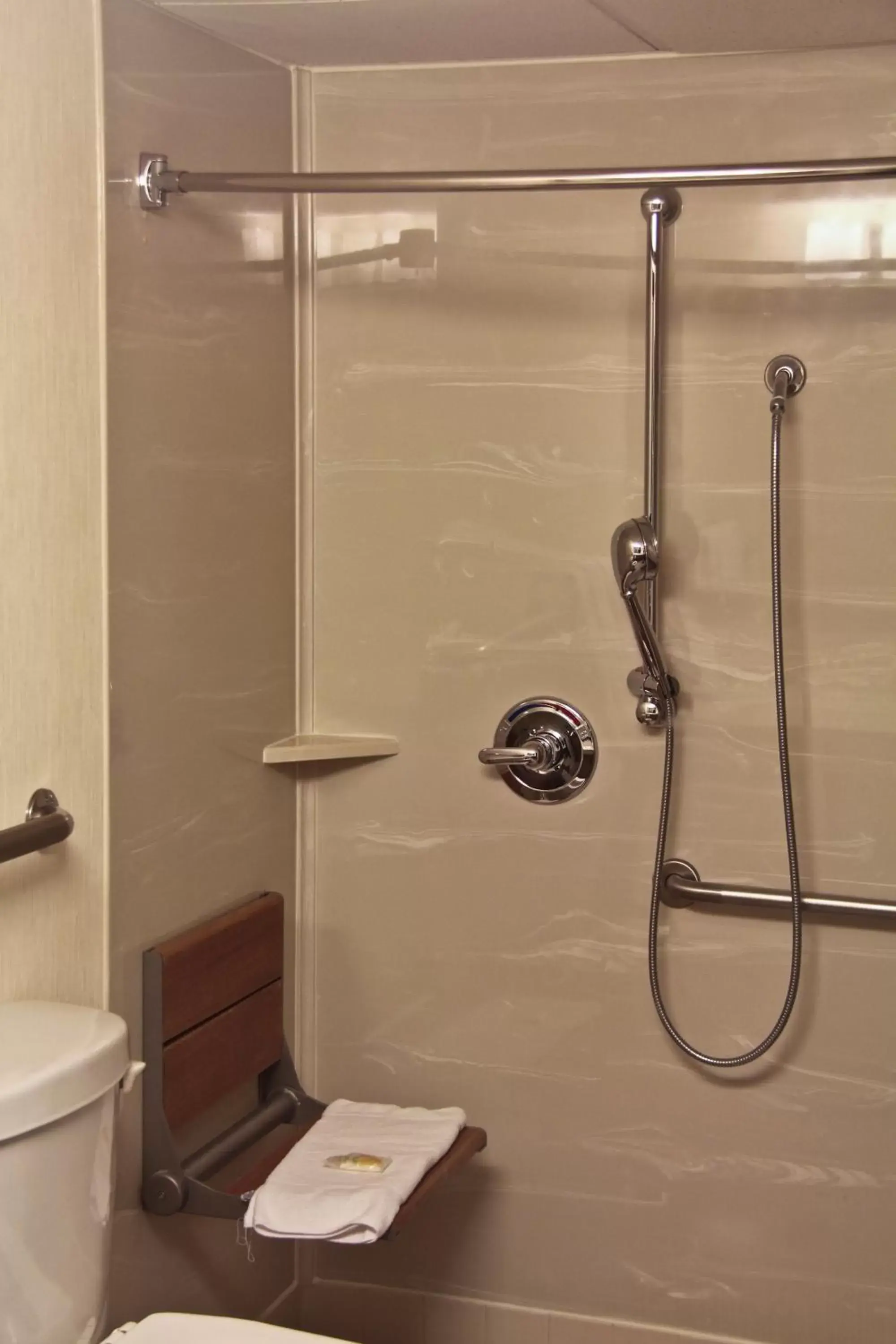 Shower, Bathroom in Holiday Inn & Suites Winnipeg Downtown, an IHG Hotel