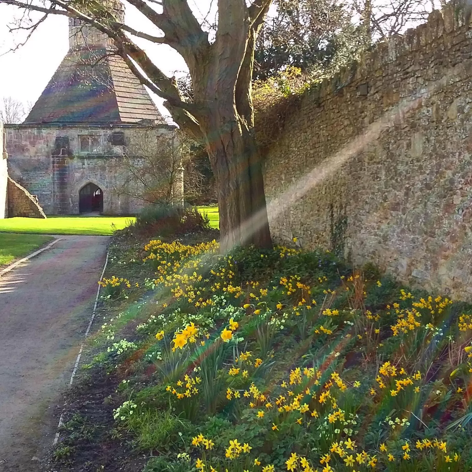 Area and facilities in AROHA