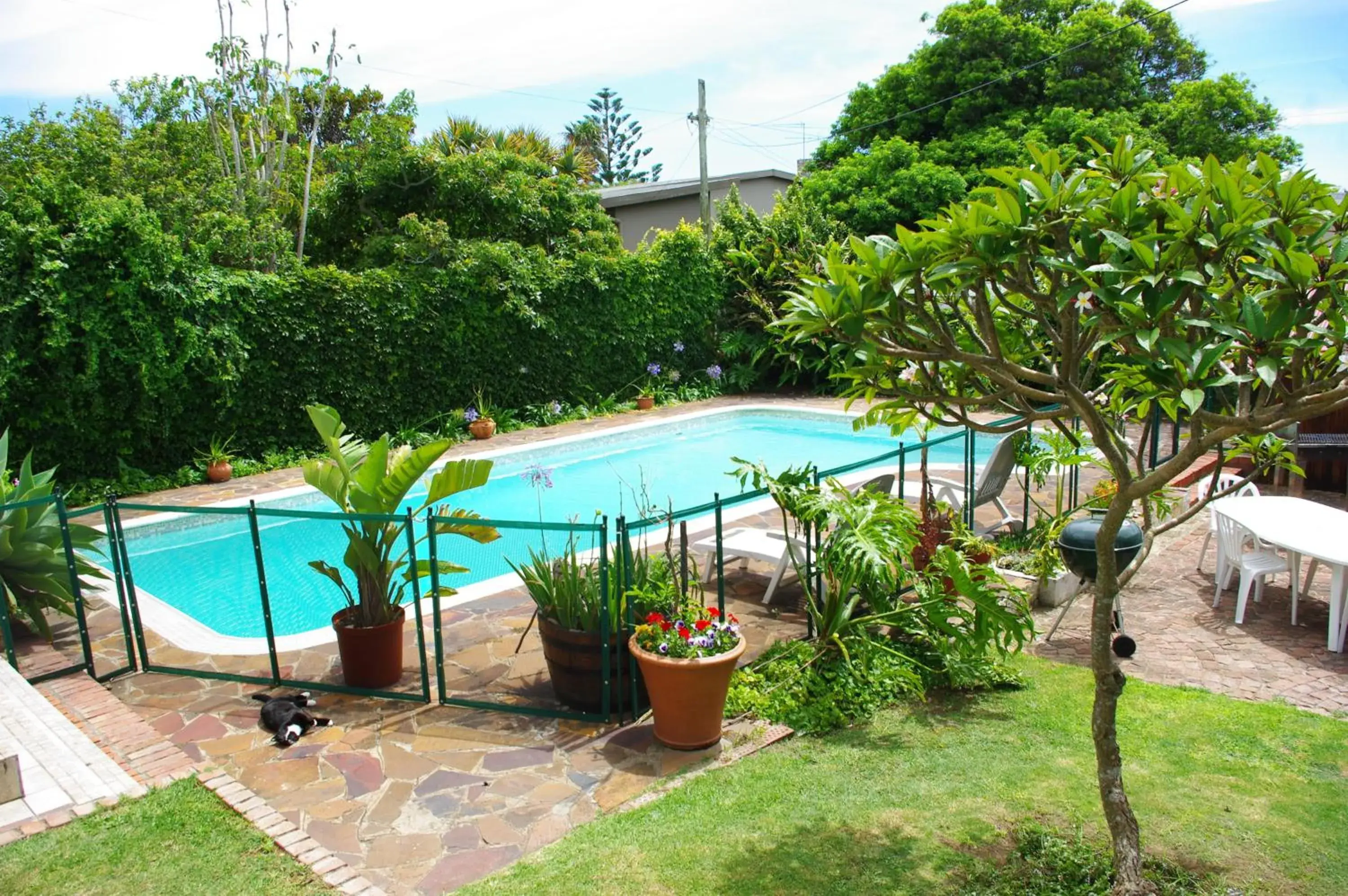 Swimming Pool in Aqua Marine Guest House