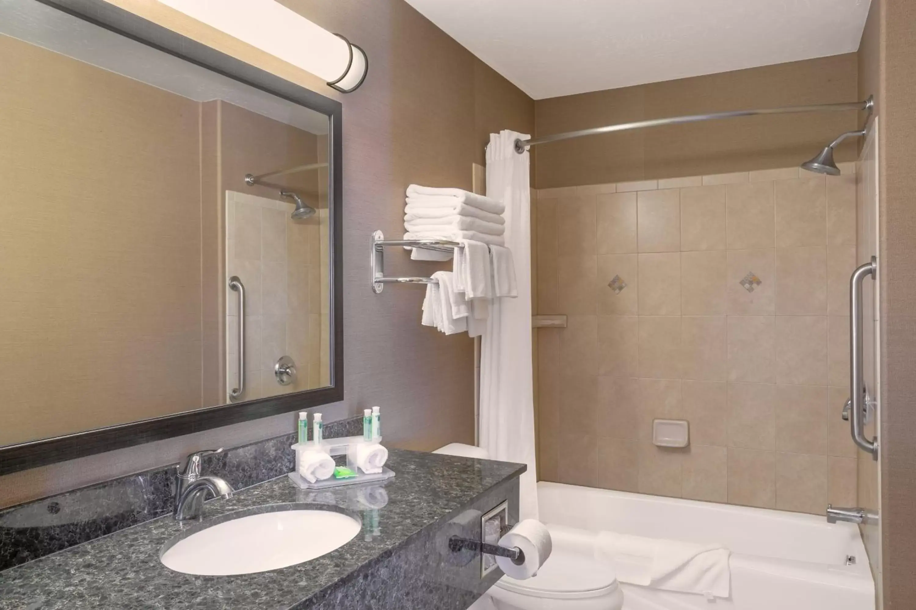 Bathroom in Holiday Inn Express Hotel & Suites Moab, an IHG Hotel