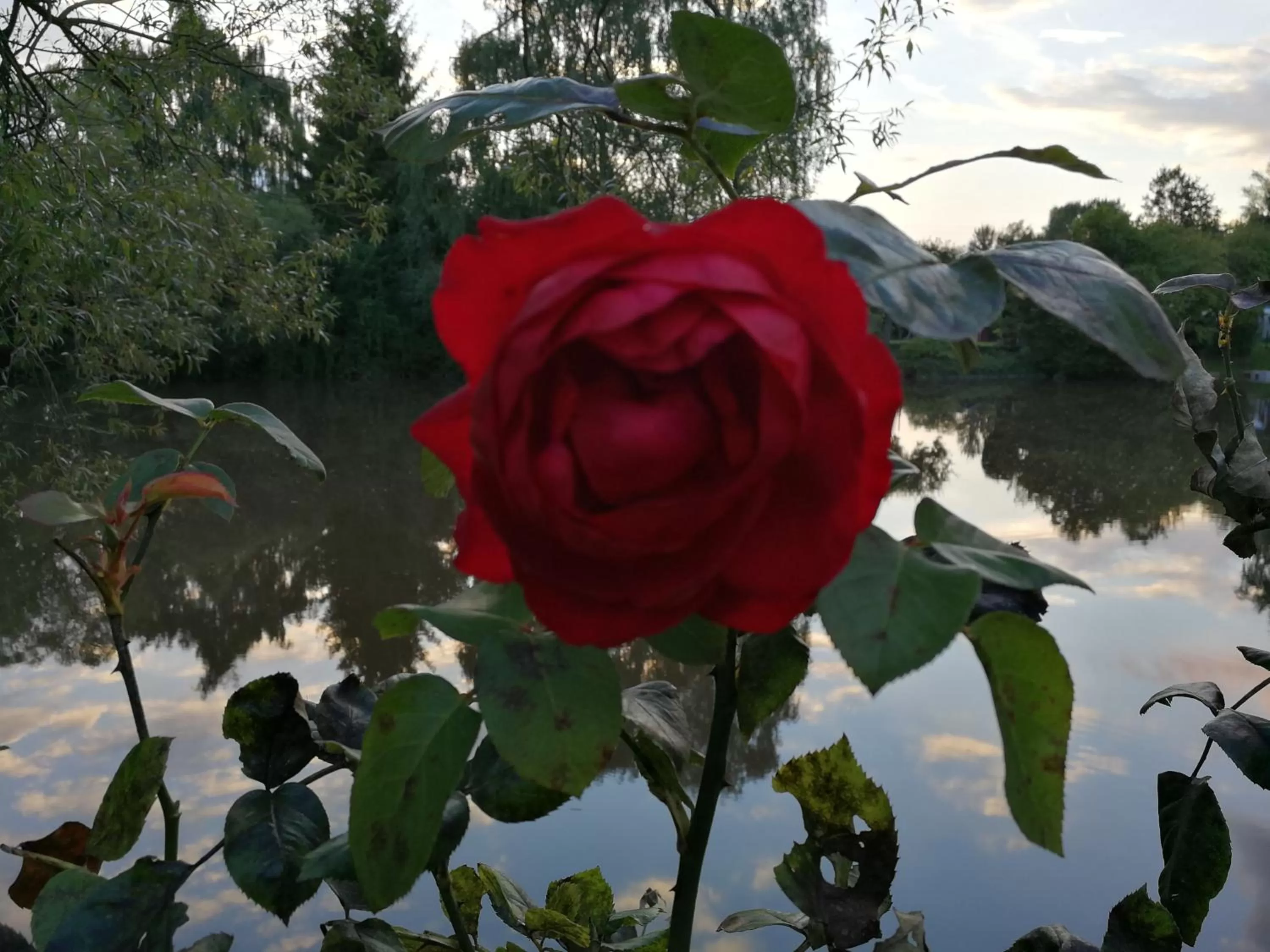 Natural landscape in Altes Eishaus, Hotel & Restaurant