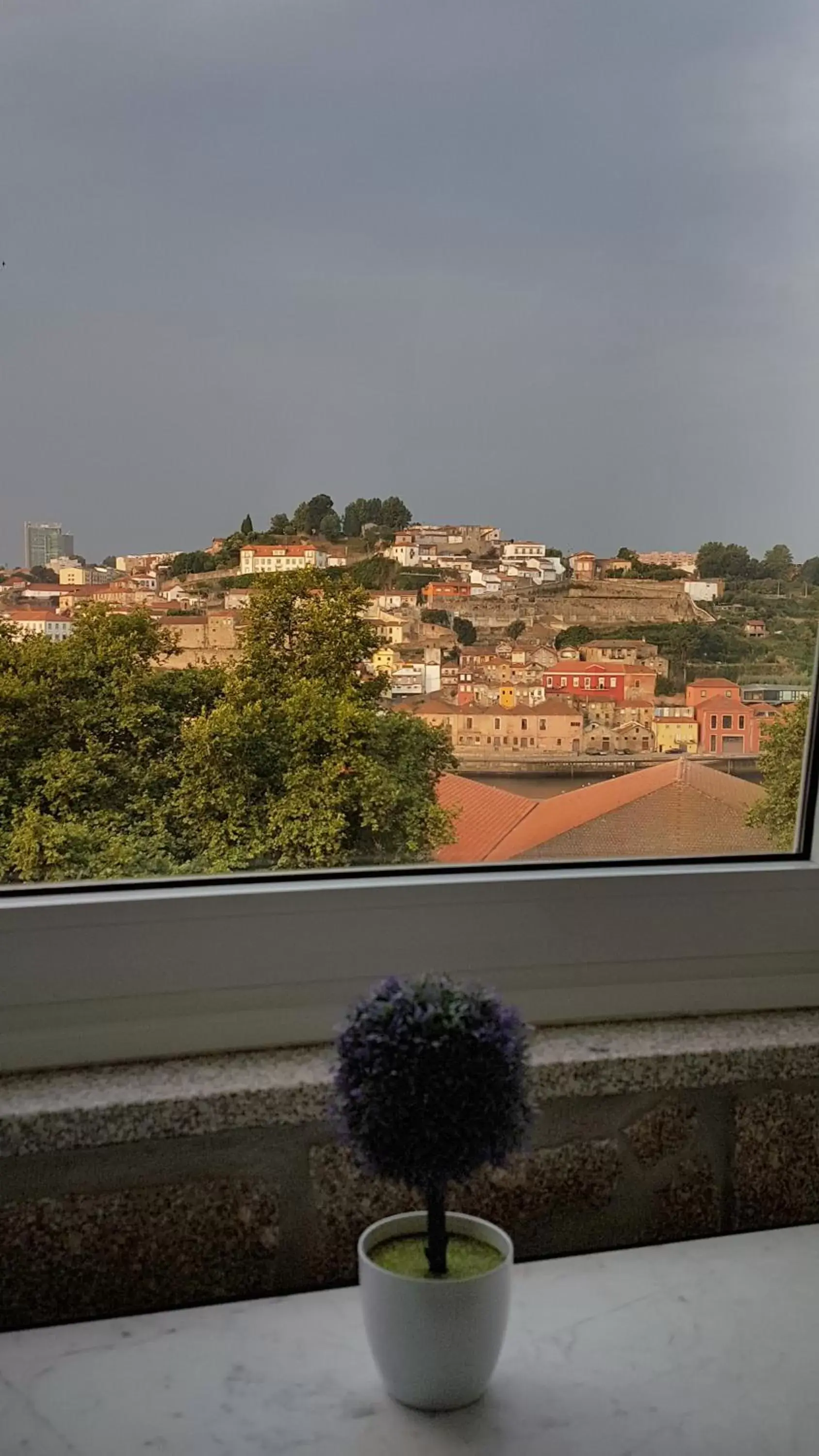 River view in Private Villa Porto