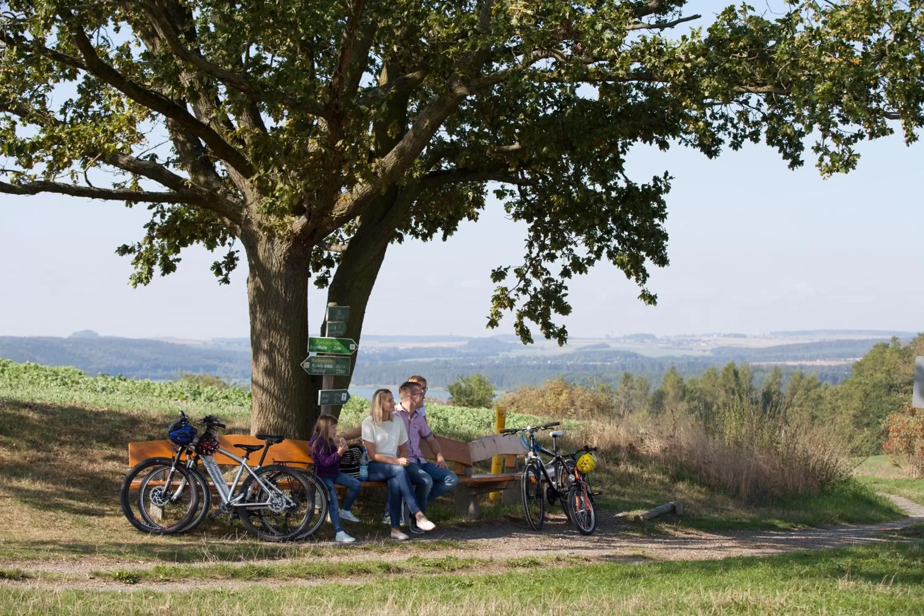 View (from property/room), Horseback Riding in Bio-Seehotel Zeulenroda