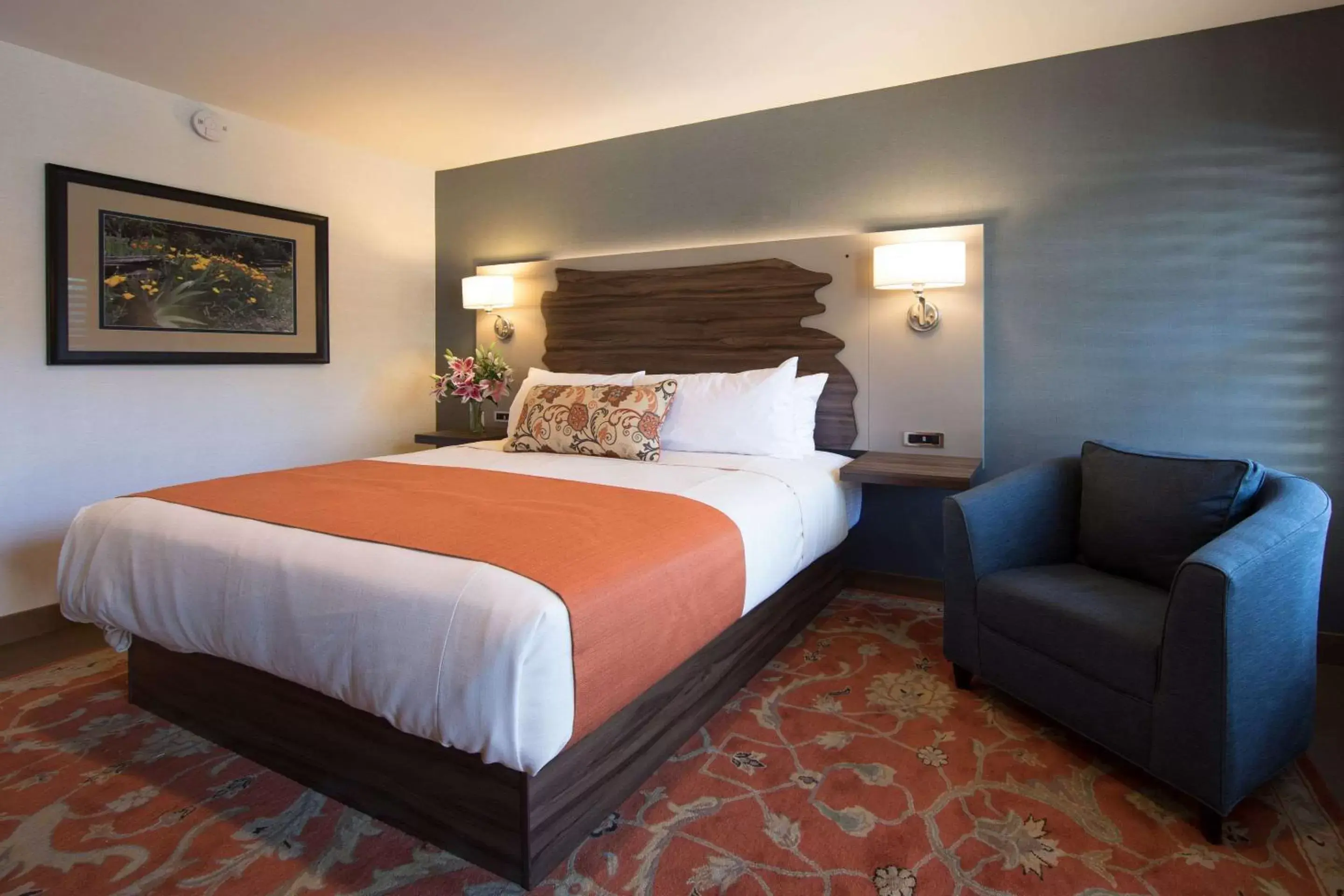 Photo of the whole room, Bed in The Vine Inn Davis Photo of the whole room, Bed in The Vine Inn Davis