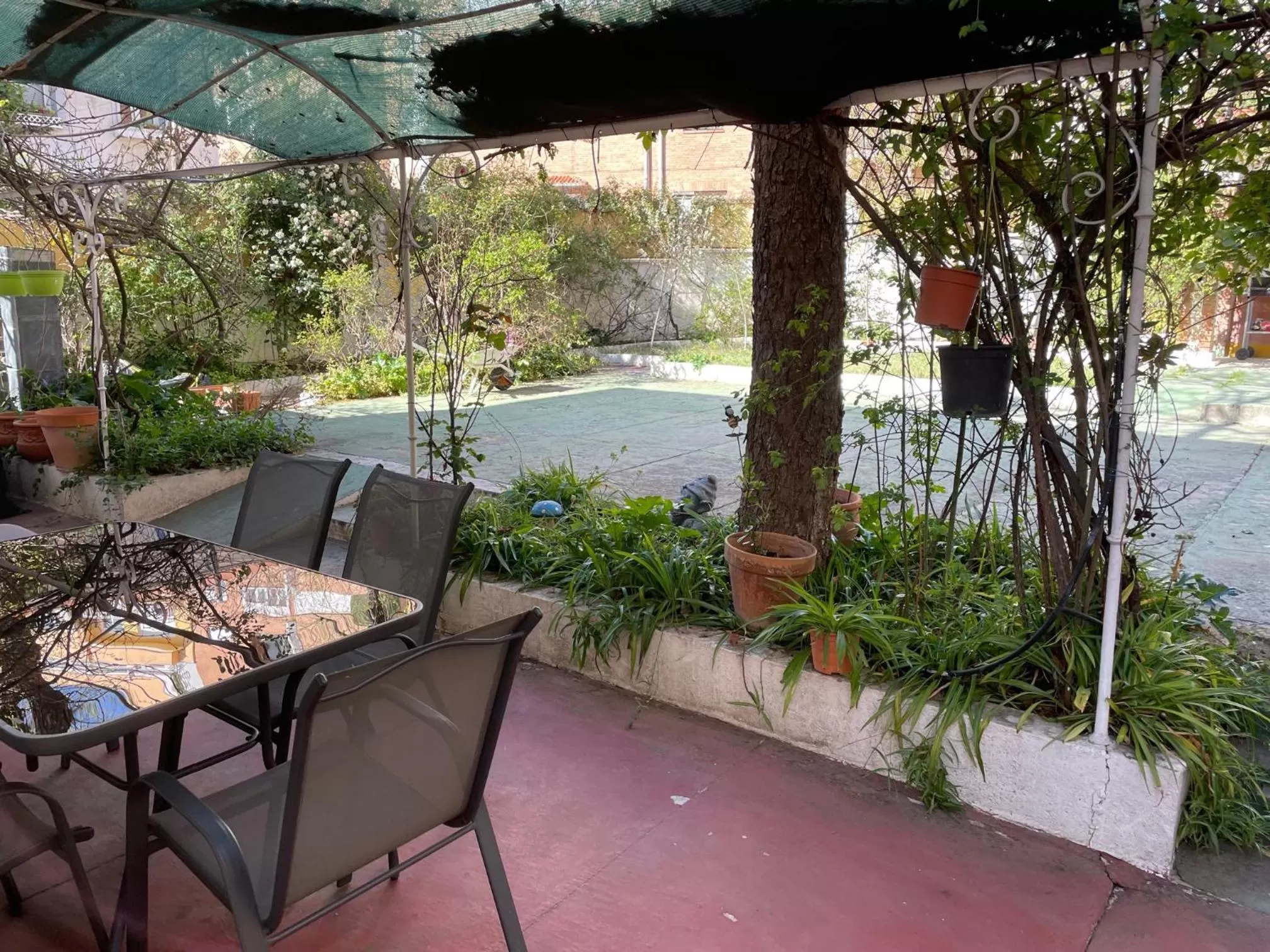 Patio in N1 Casa de Madrid - greenpeace line