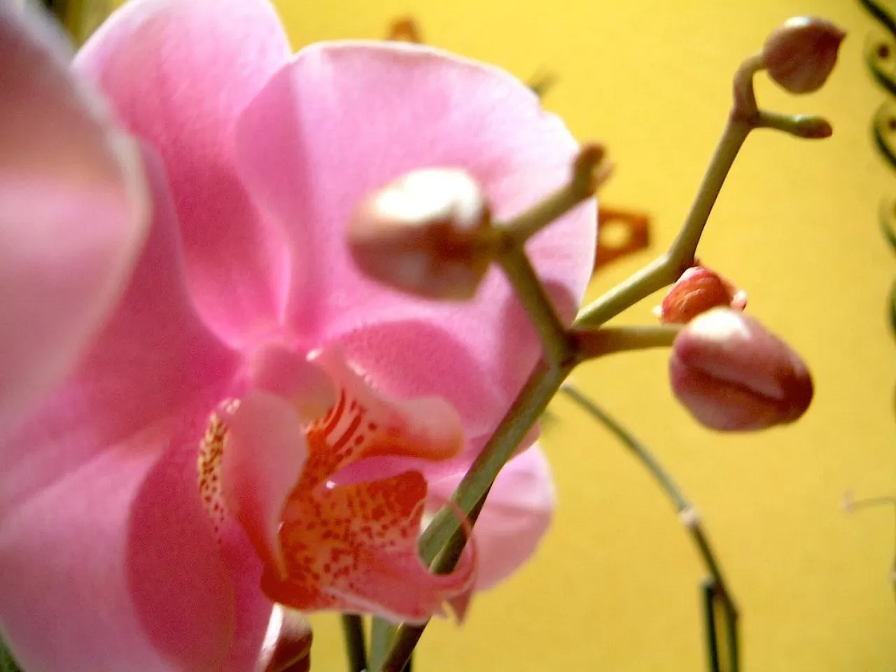 Lobby or reception in Hotel Cestelli