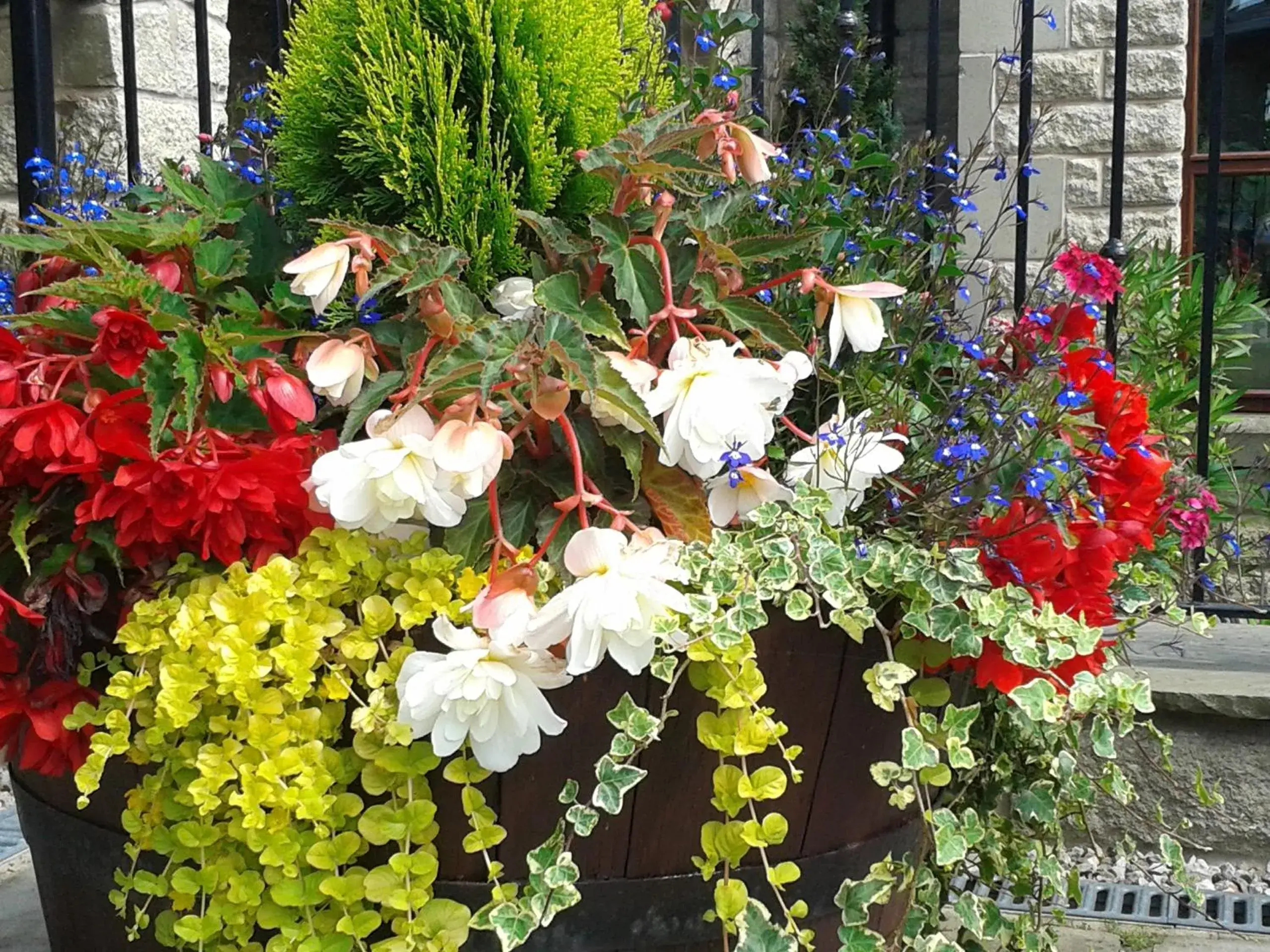 Garden in Ferraris Country House Hotel