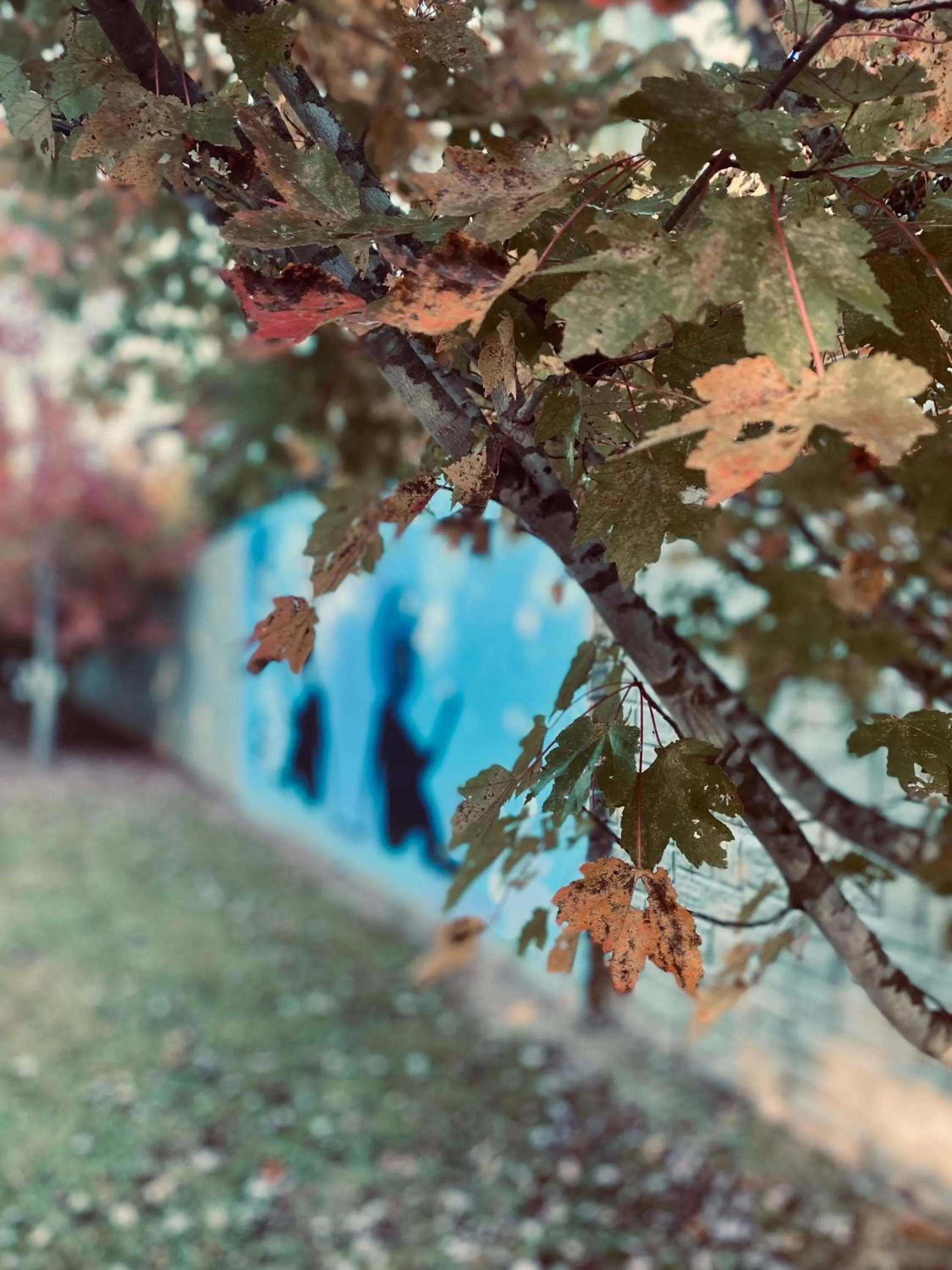 Day in Nobu Hotel Atlanta