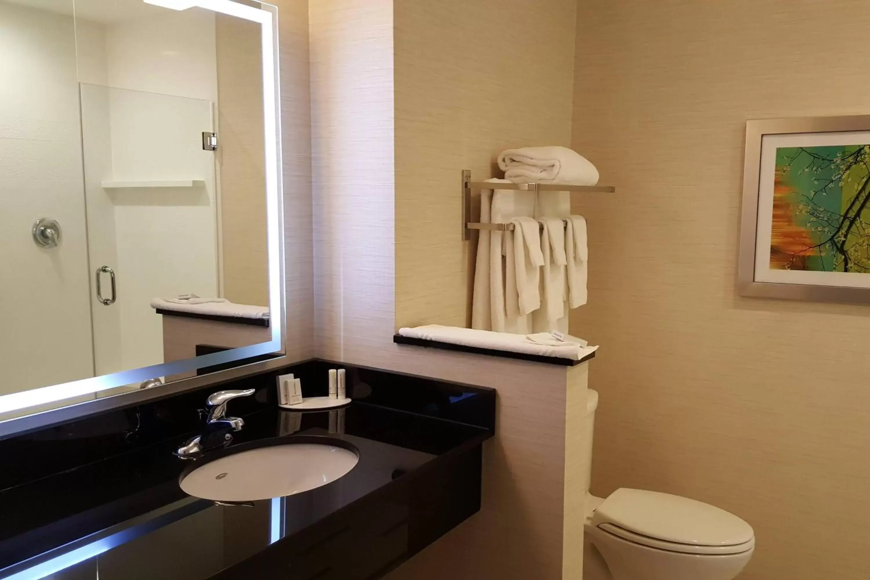 Bathroom in Fairfield Inn & Suites by Marriott Rawlins