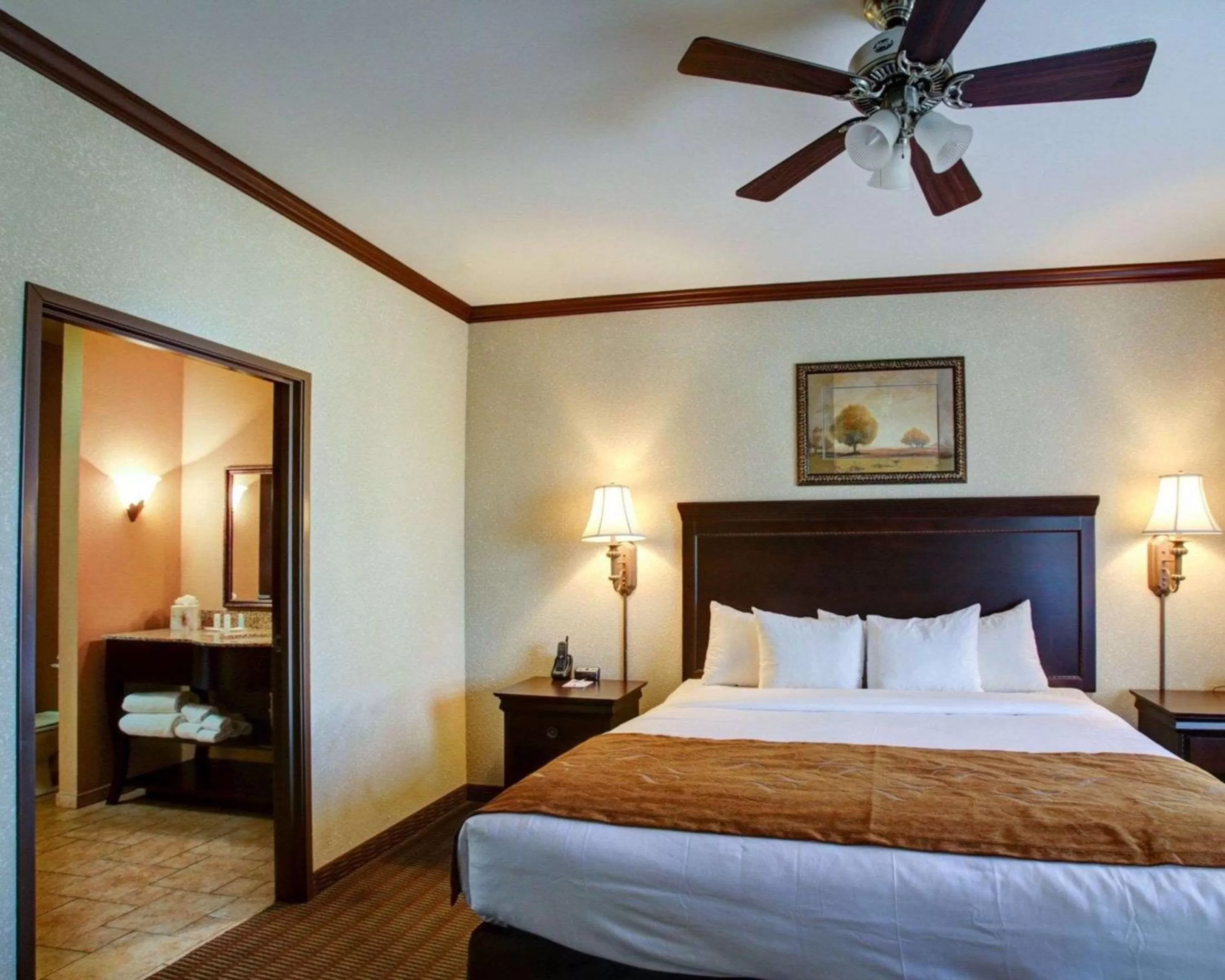 Comfort Suites University Drive