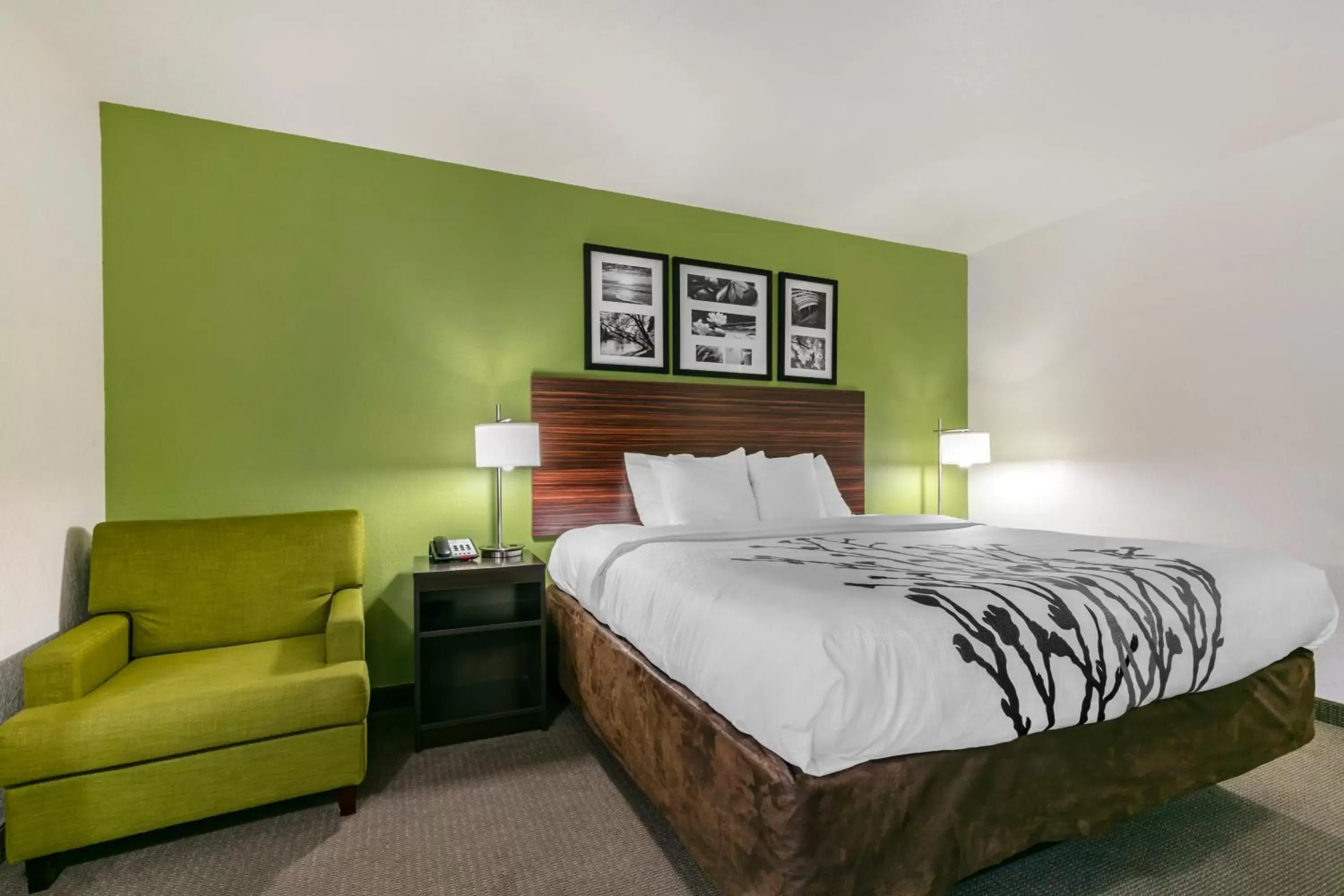 King Room - Accessible/Non-Smoking in Sleep Inn & Suites near Sports World Blvd