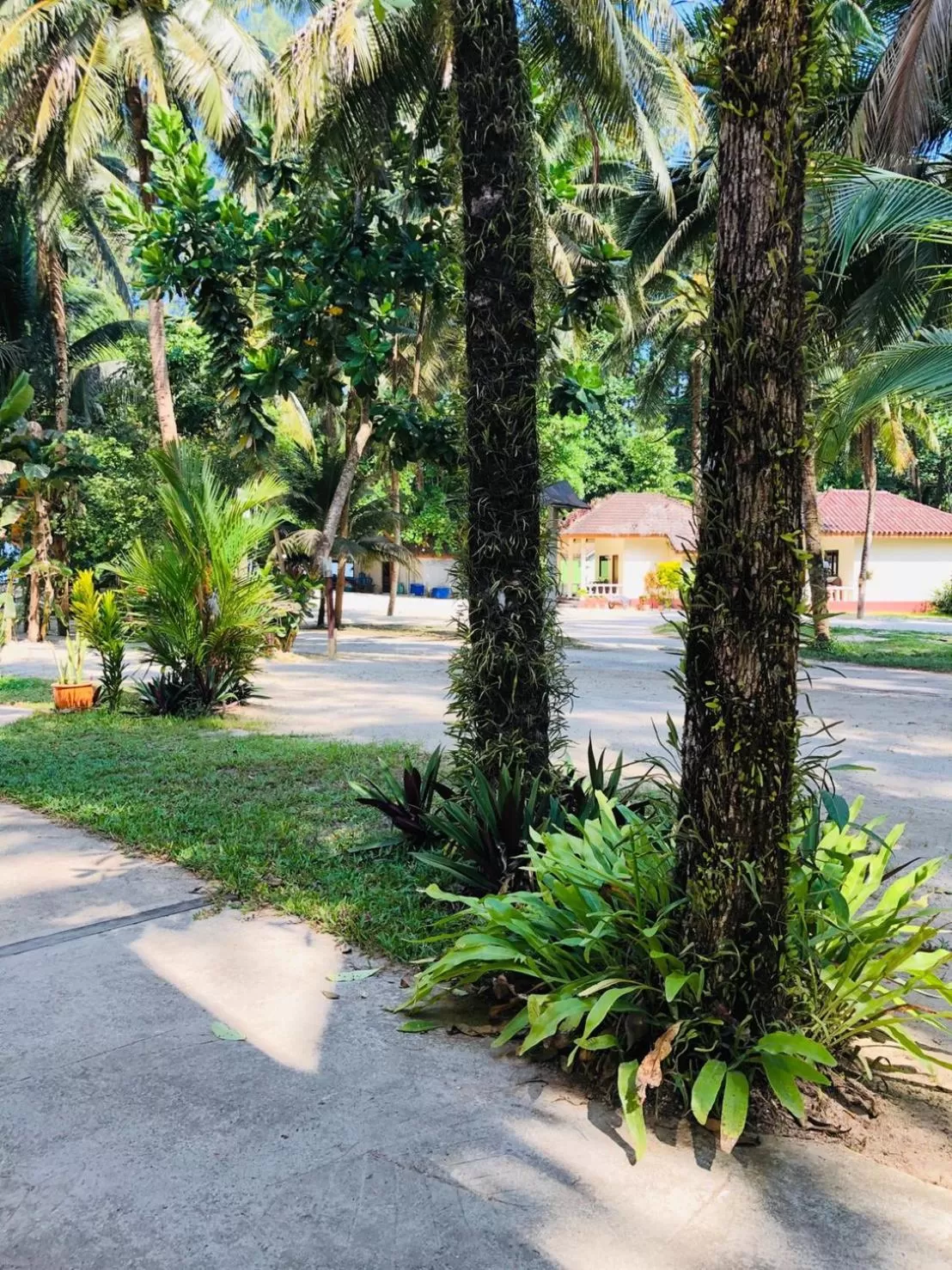 Ao Thong beach Resort