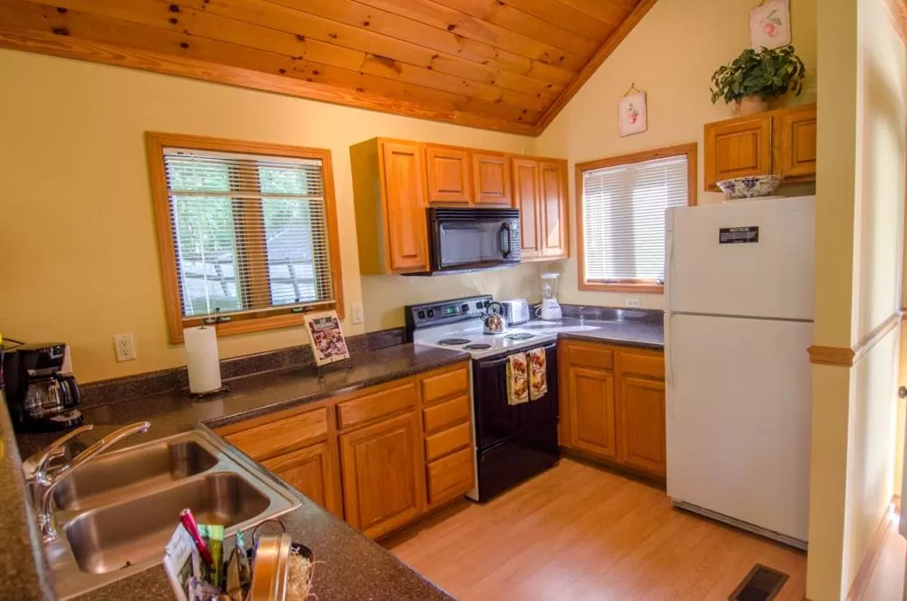 Kitchen or kitchenette in Asheville Cabins of Willow Winds