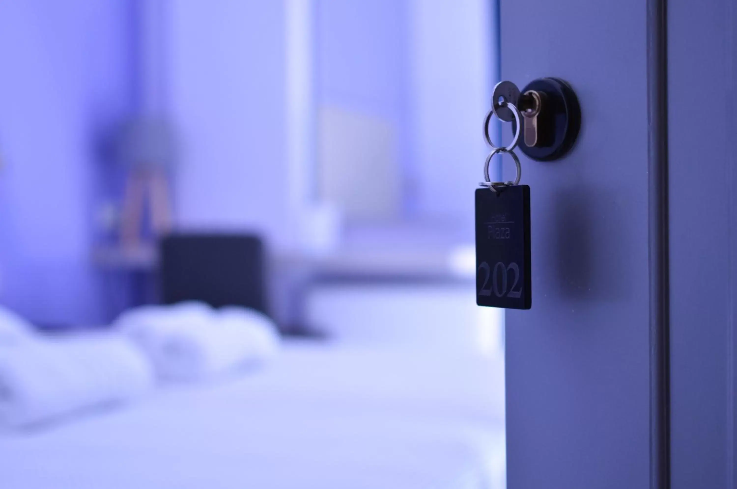 Twin Room with View in Hotel Plaza Twin Room with View in Hotel Plaza