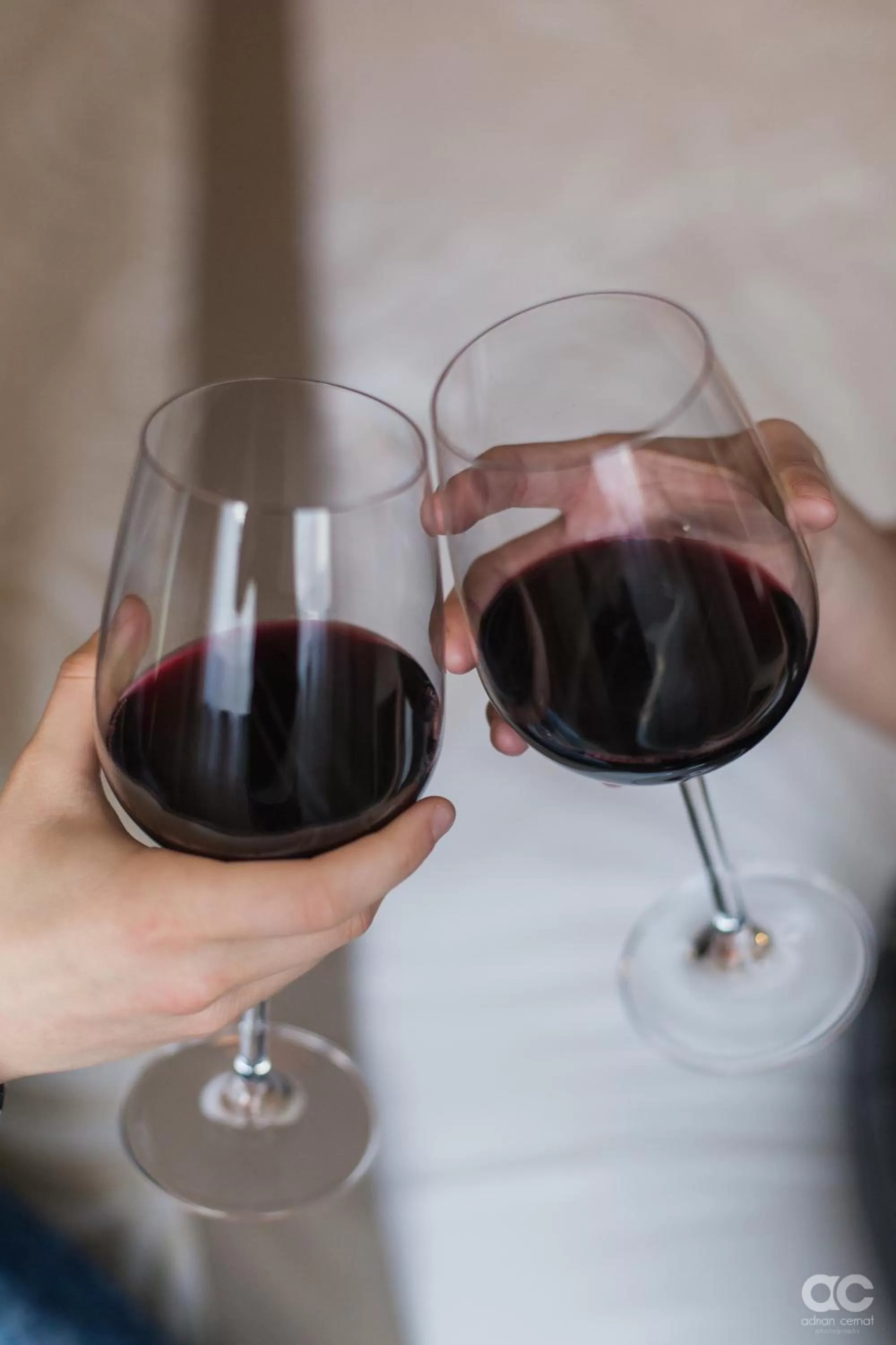 Lounge or bar in Hotel Transilvania