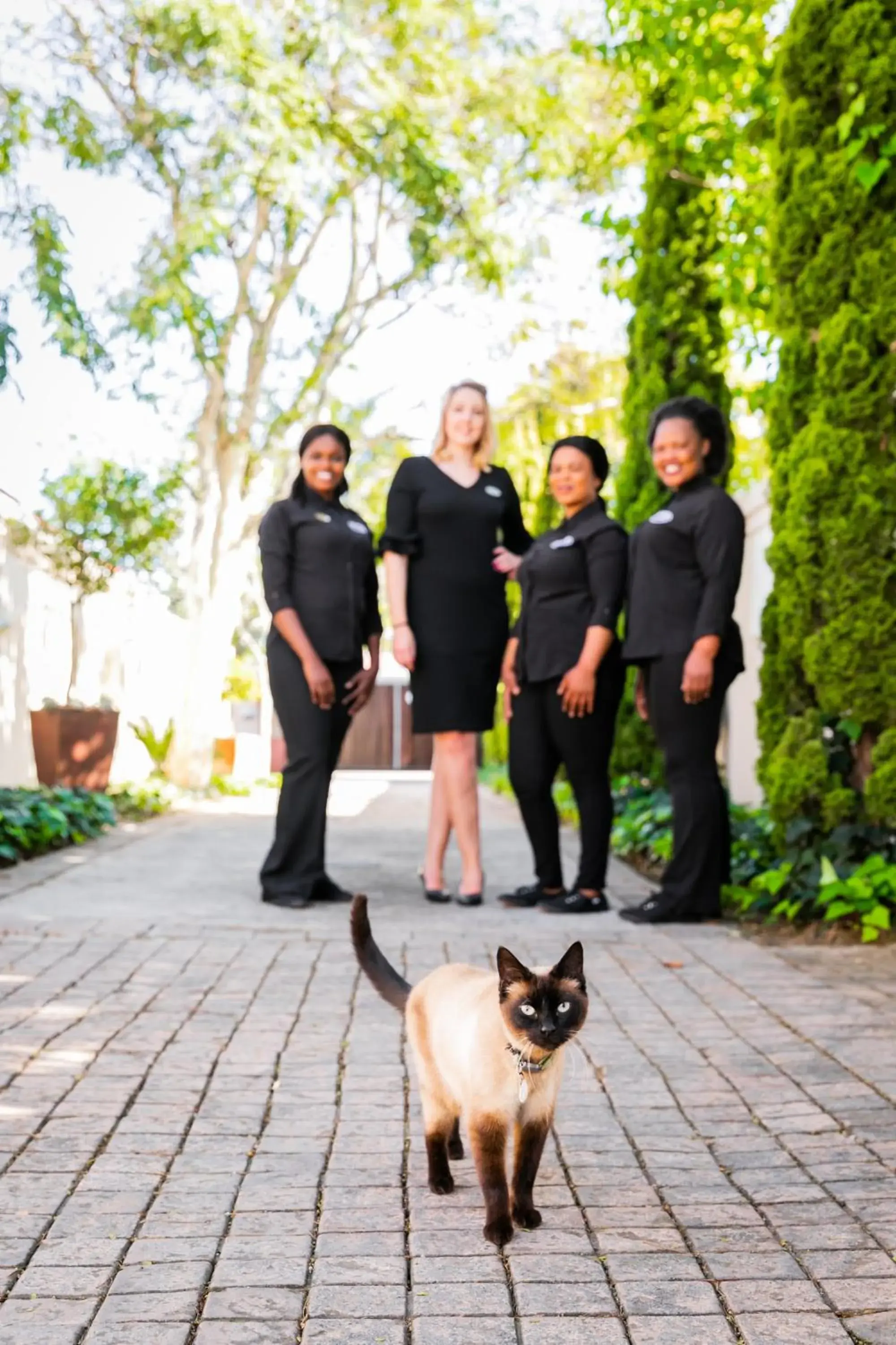 Staff, Pets in Arum Guest House