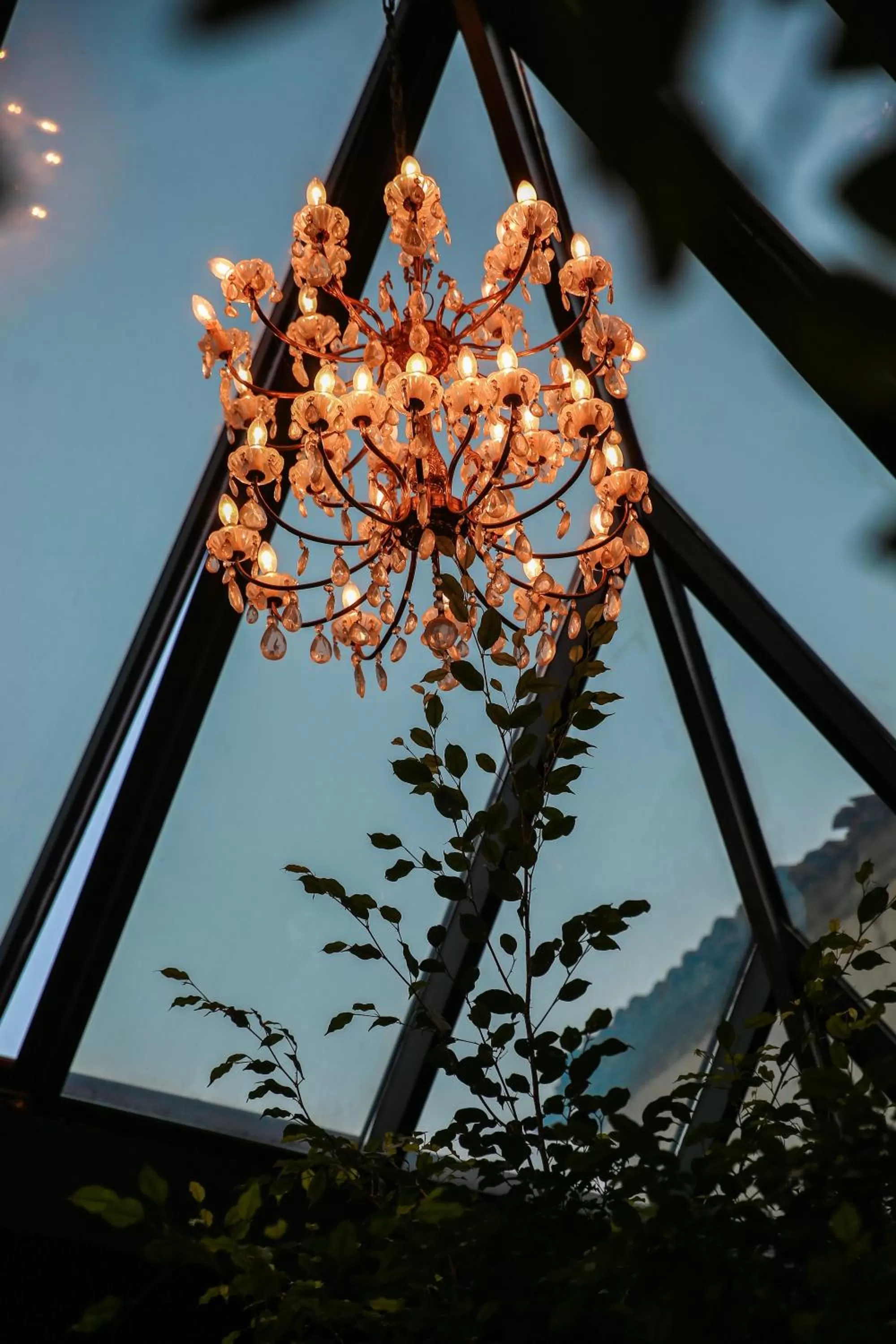 Garden in Hotel Epidamn Boutique & Spa