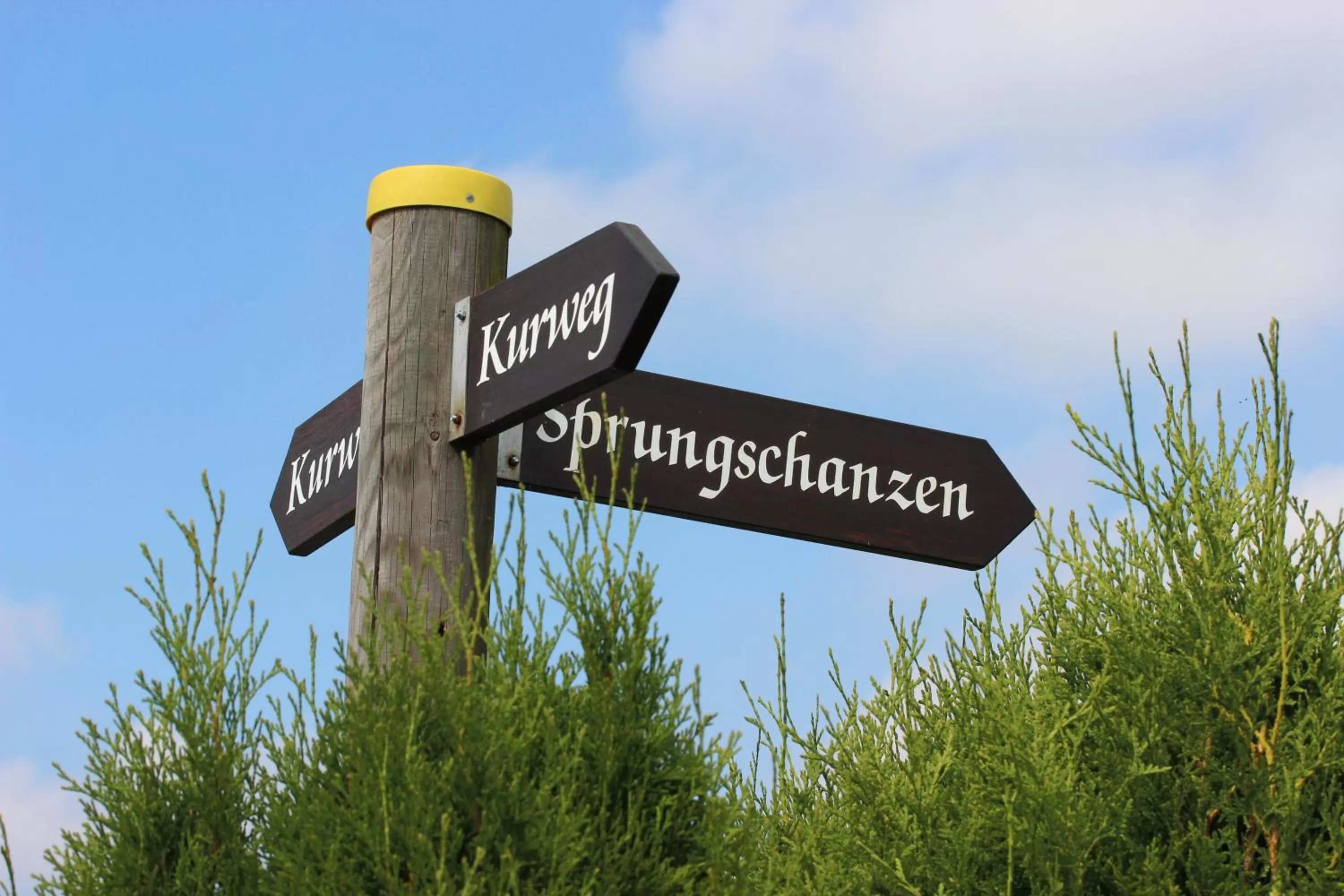 Day in Hotel Herrloh