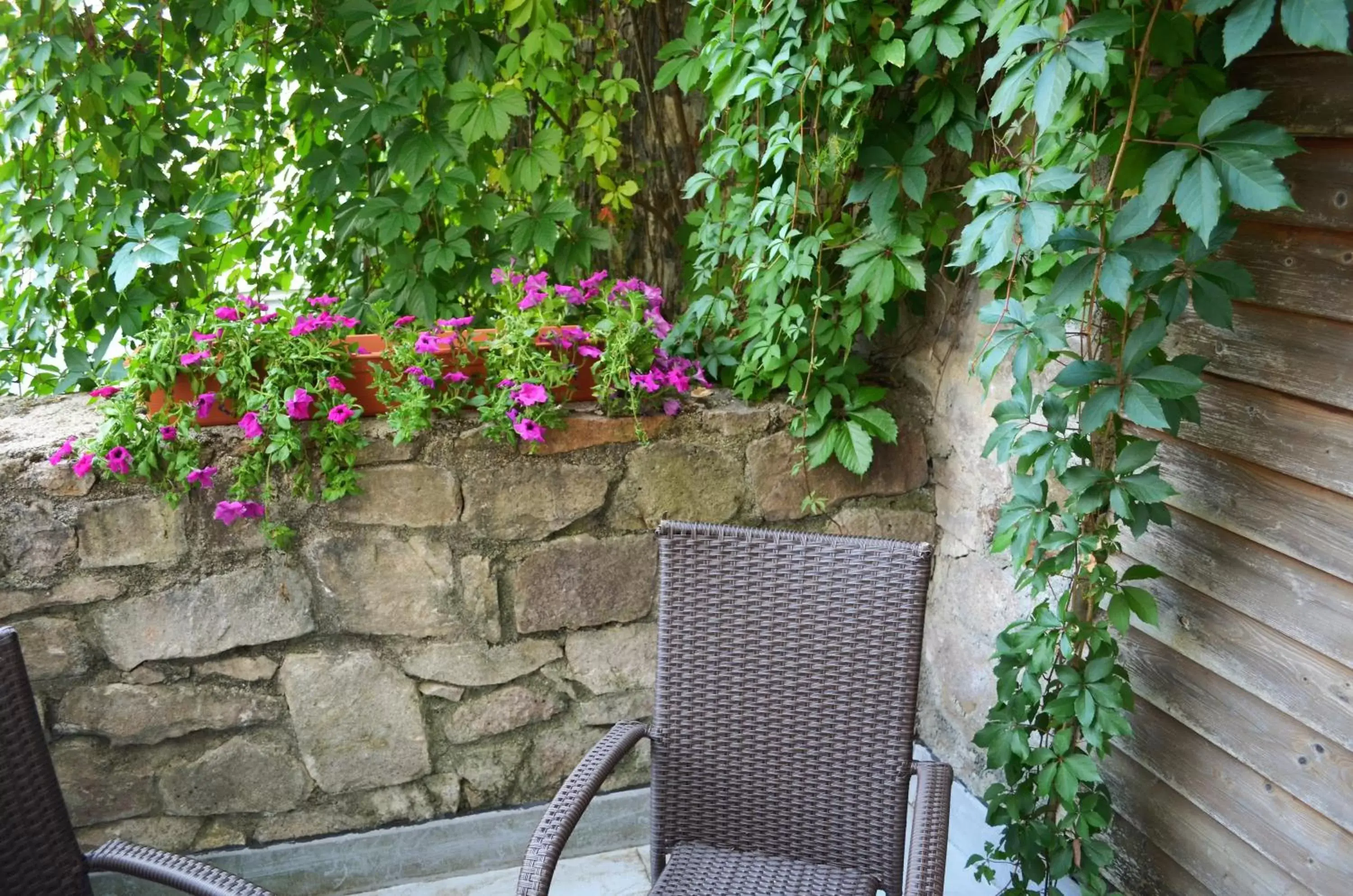 Balcony/Terrace in Hotel Petr