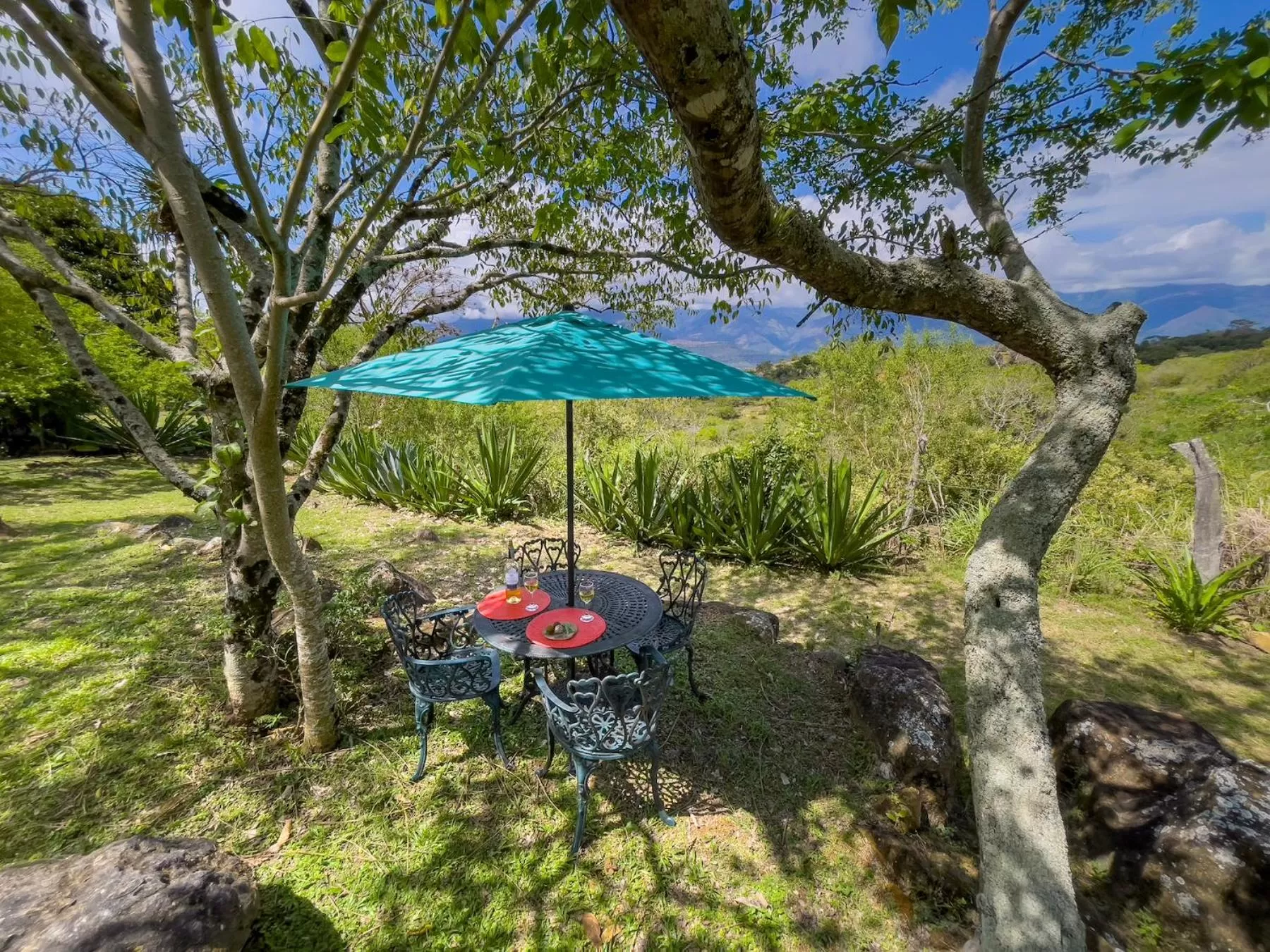 Staff in Finca San Pedro