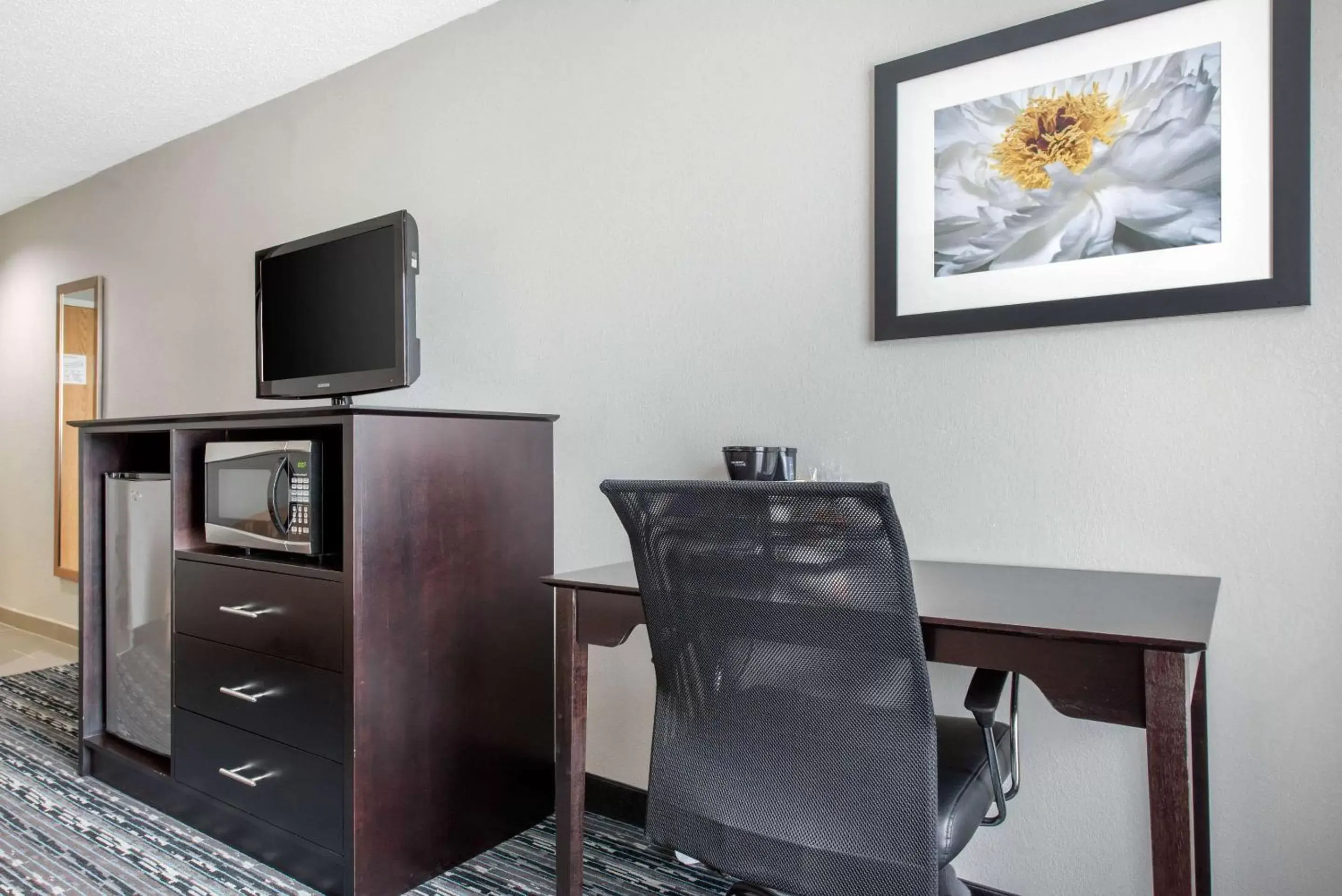 Photo of the whole room, TV/Entertainment Center in Quality Inn Indianapolis-Brownsburg - Indianapolis West