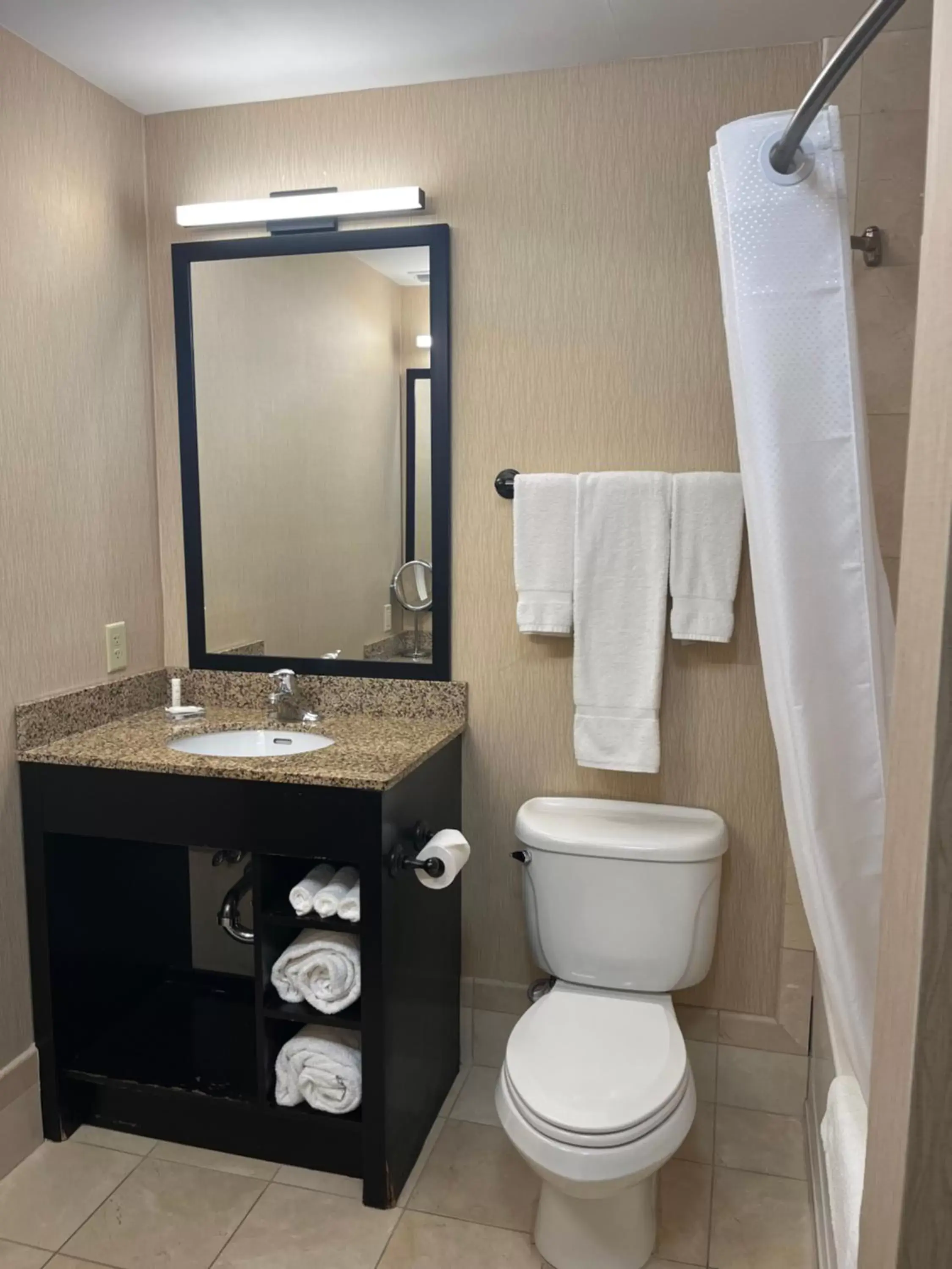 Toilet, Bathroom in Hawthorn Suites by Wyndham West Palm Beach