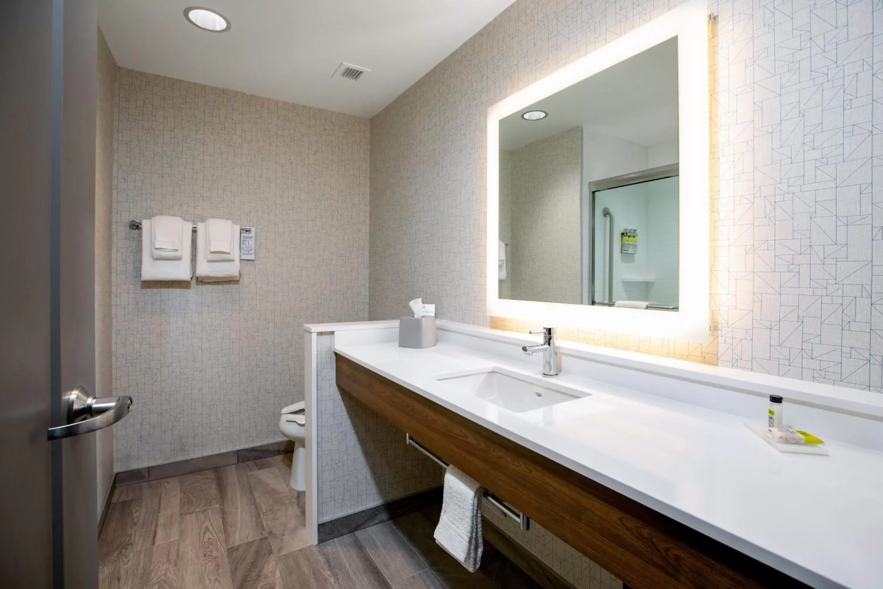 Photo of the whole room, Bathroom in Holiday Inn Express - Lethbridge Southeast, an IHG Hotel