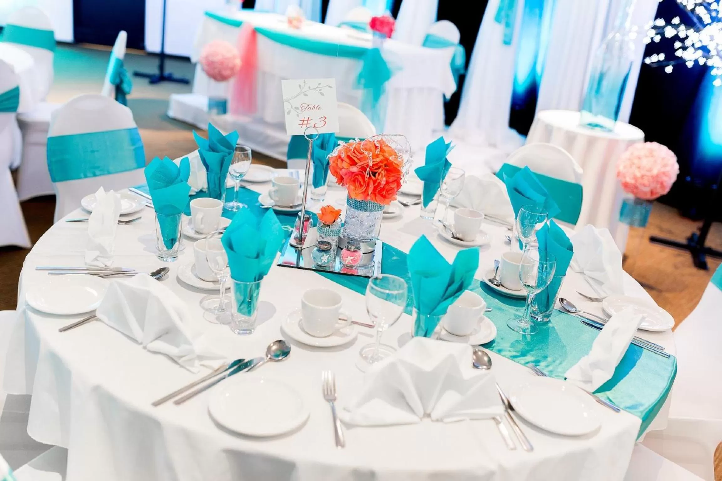 Banquet/Function facilities in Hotel Universel Alma