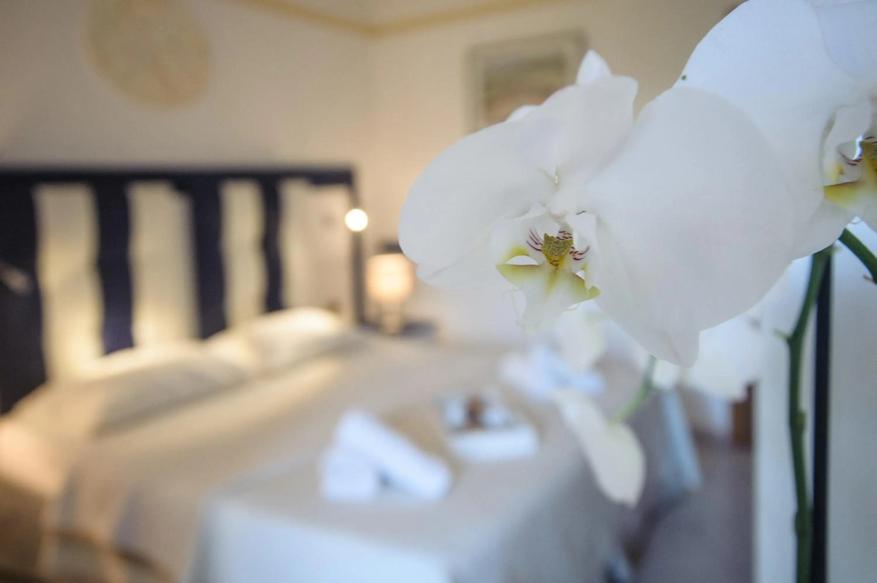 Bed in Hotel Caserta Antica