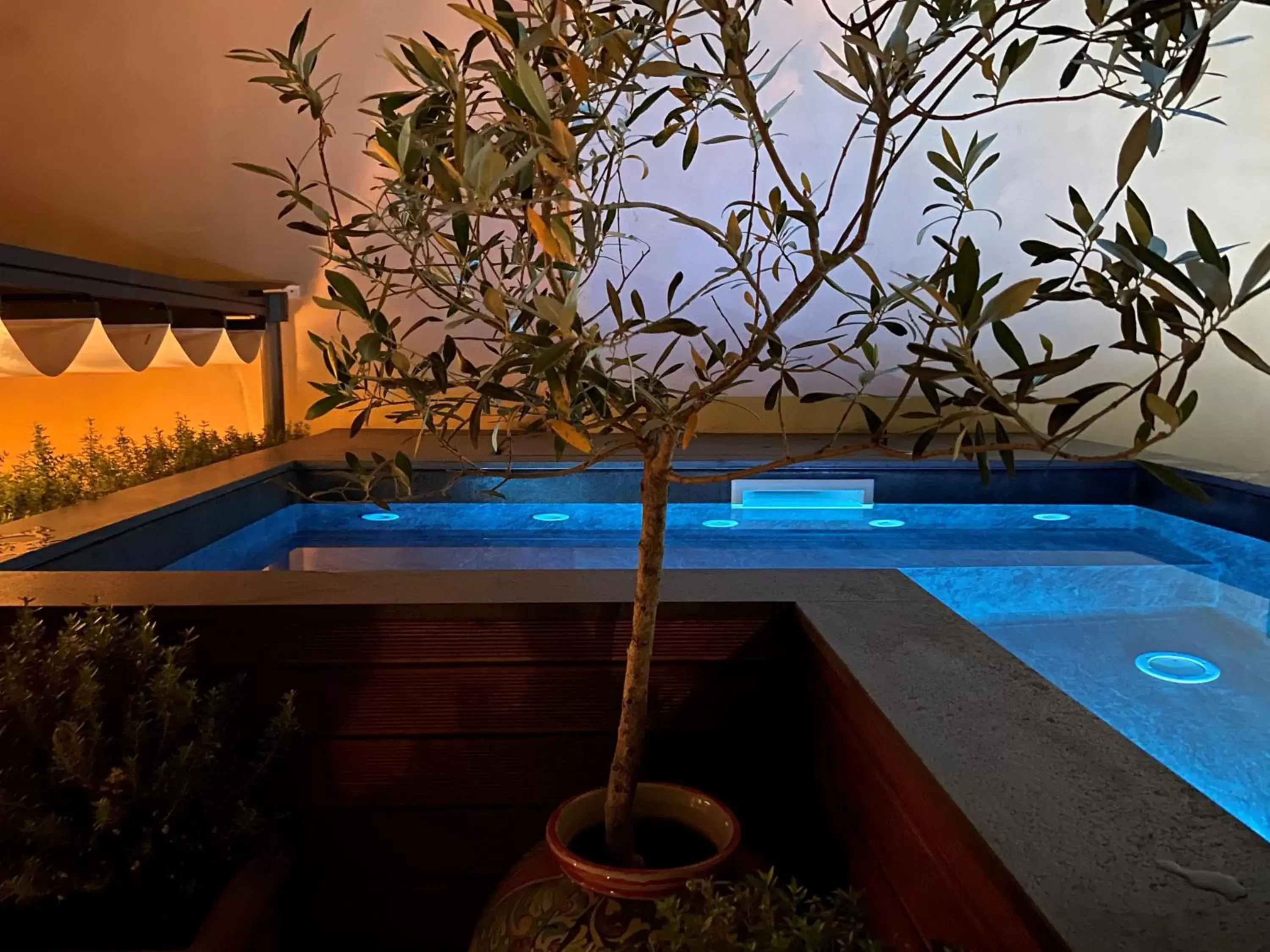 Garden, Swimming Pool in Relais 147 - Luxury b&b