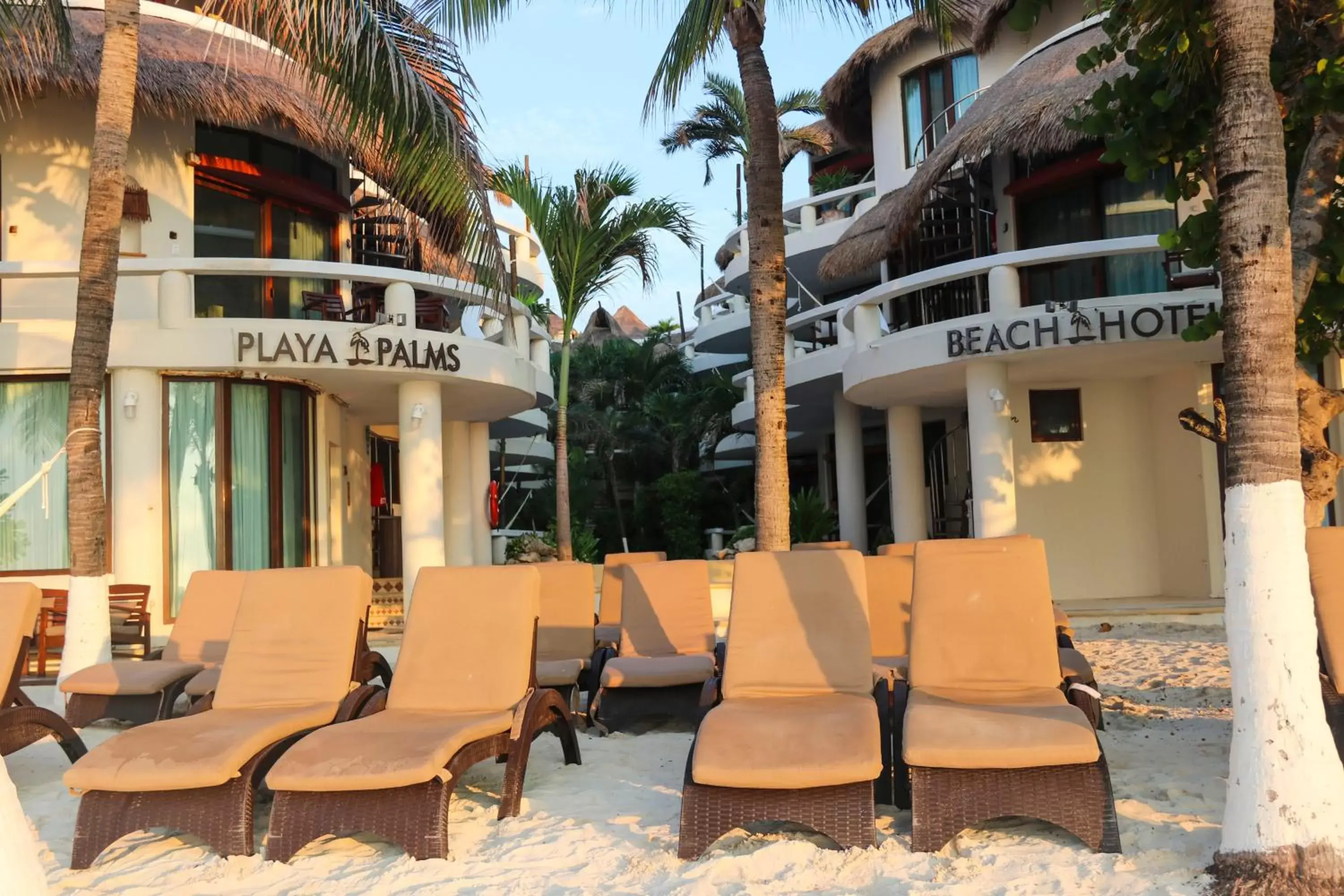 Beach in Playa Palms Beach Hotel