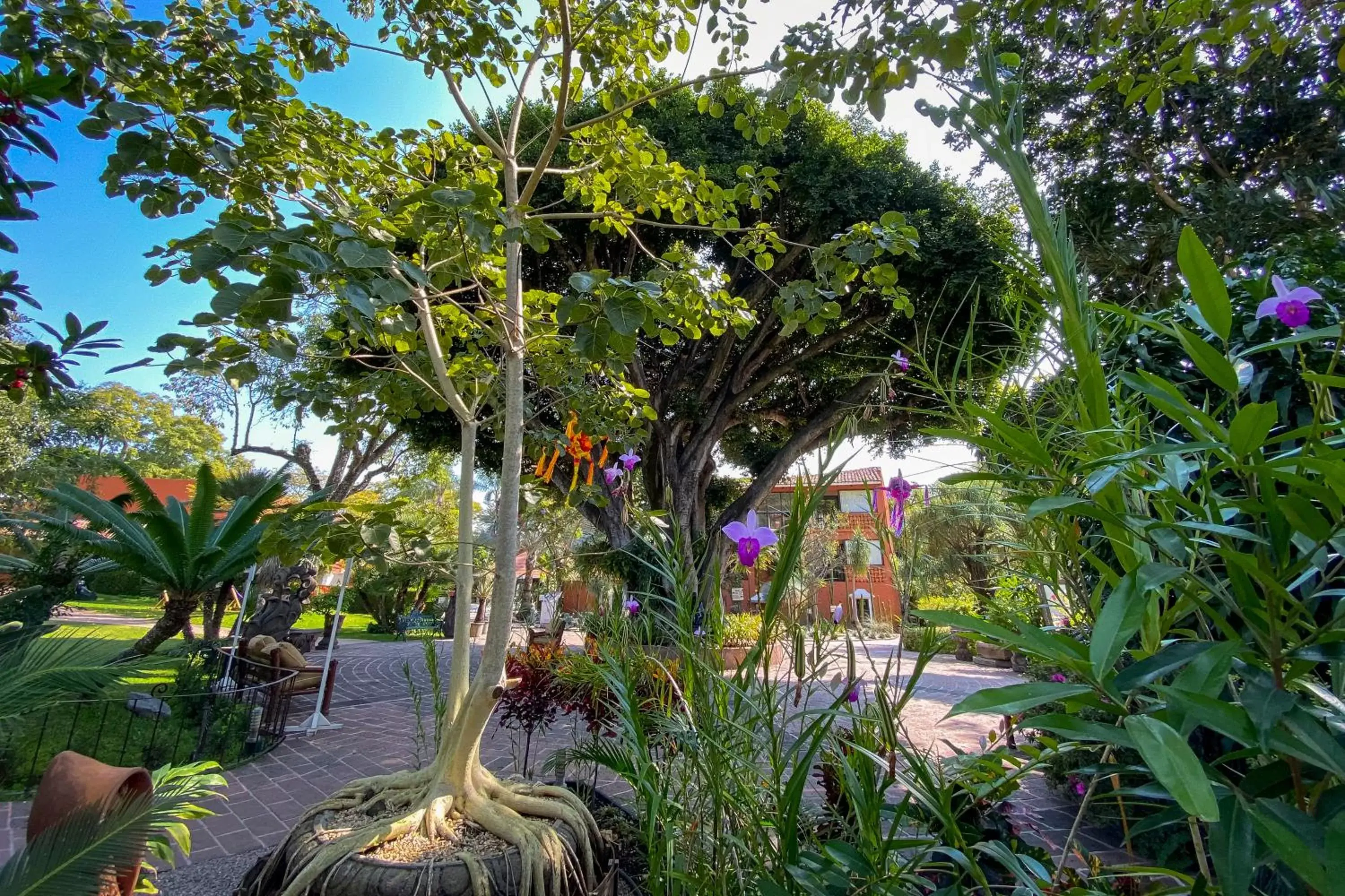 Natural landscape, Pool View in Hosteria Las Quintas Hotel & Spa